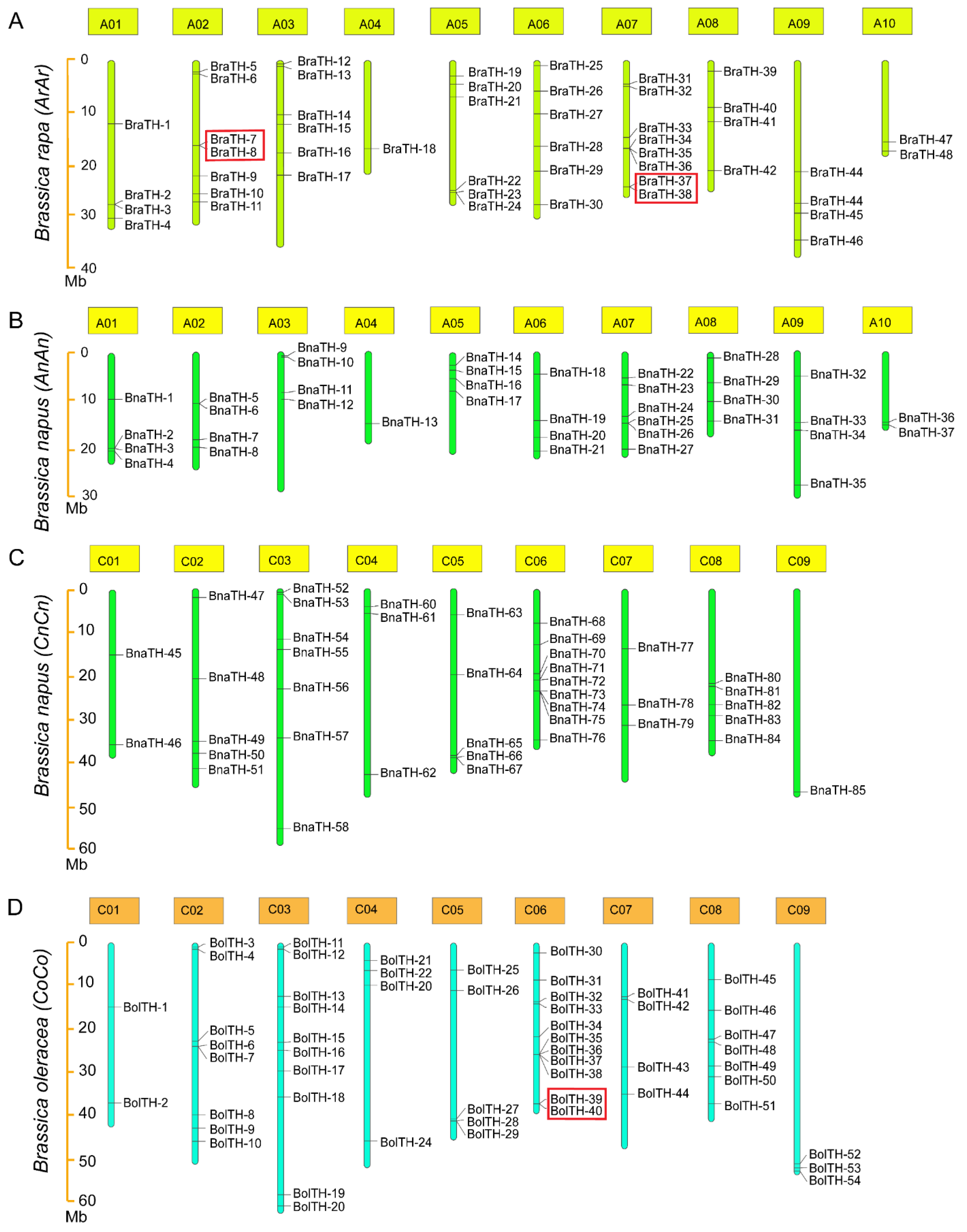 Conservation and Divergence of the Trihelix Genes in Brassica and ...