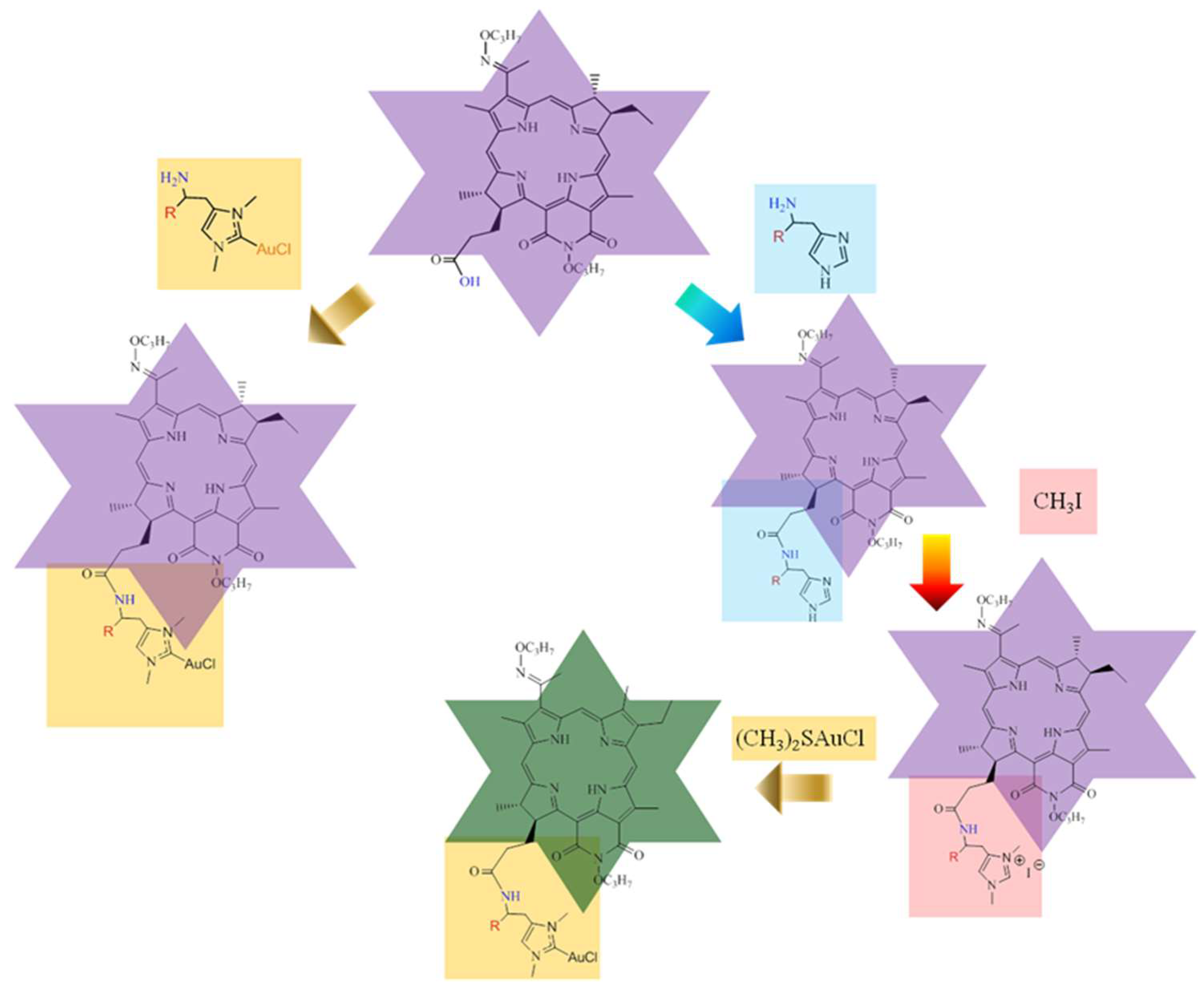 Ijms 23 15776 g001 Ijms 23 15776 g001