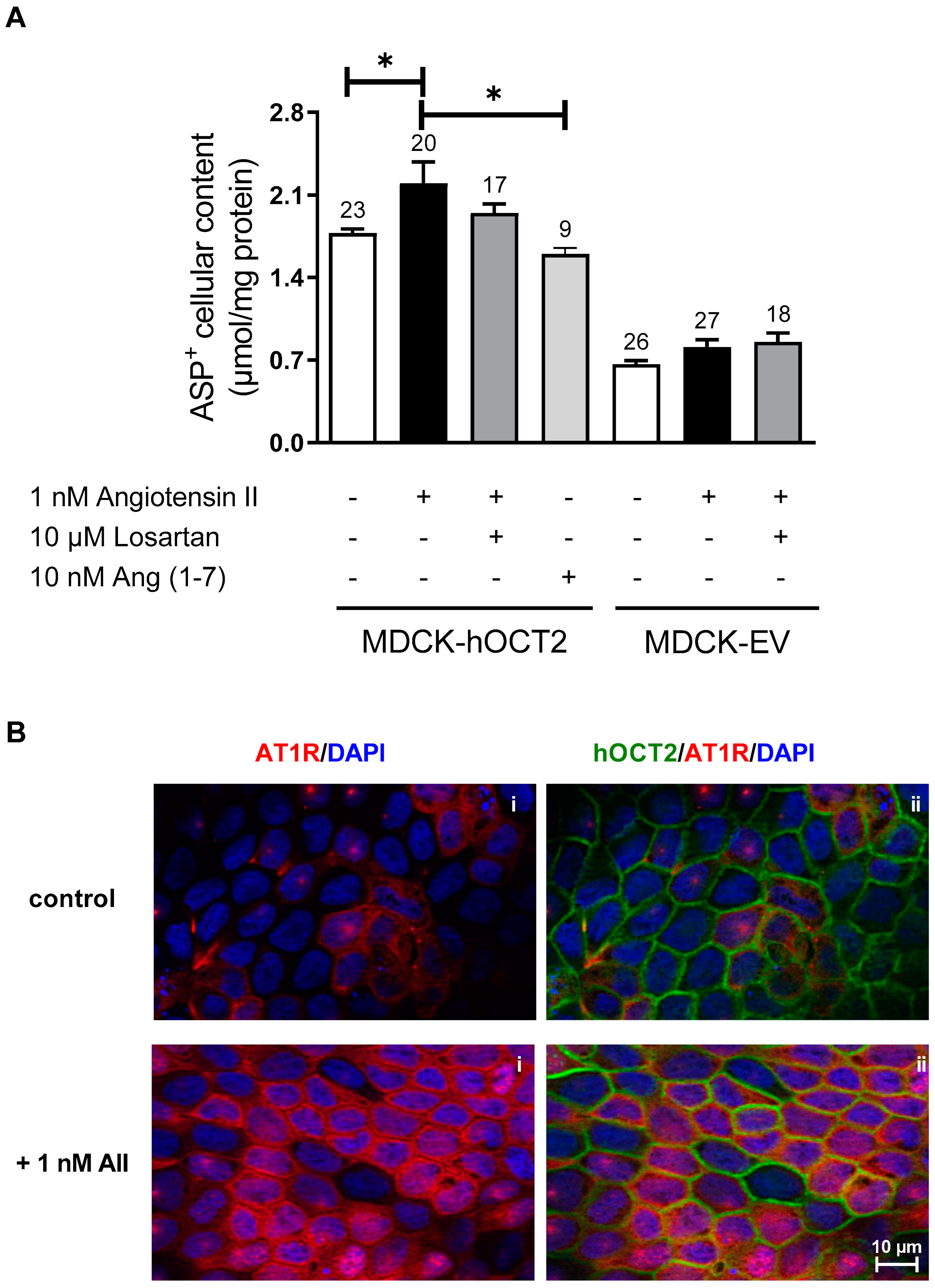 Ijms 23 15866 g005 Ijms 23 15866 g005