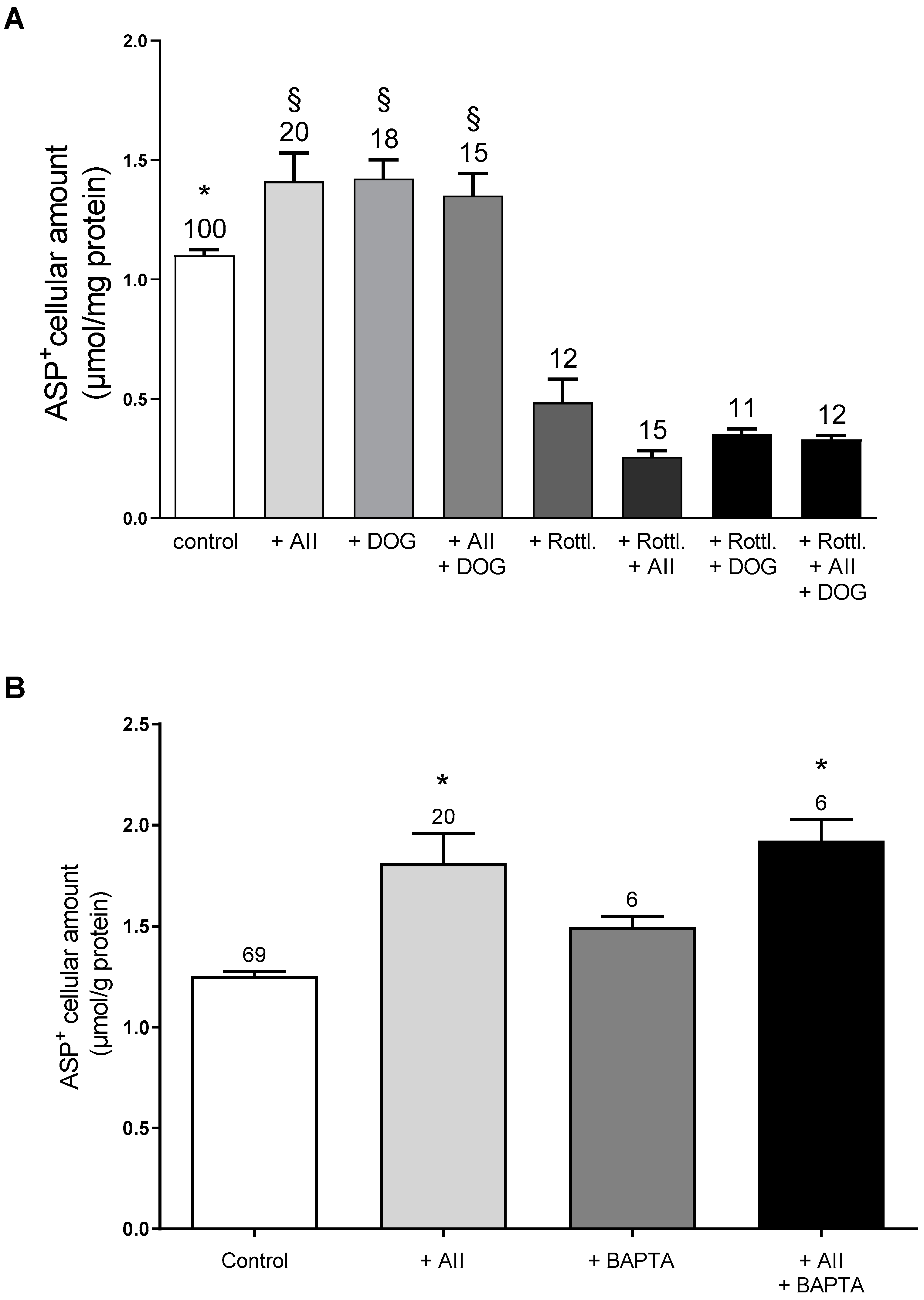 Ijms 23 15866 g006 Ijms 23 15866 g006