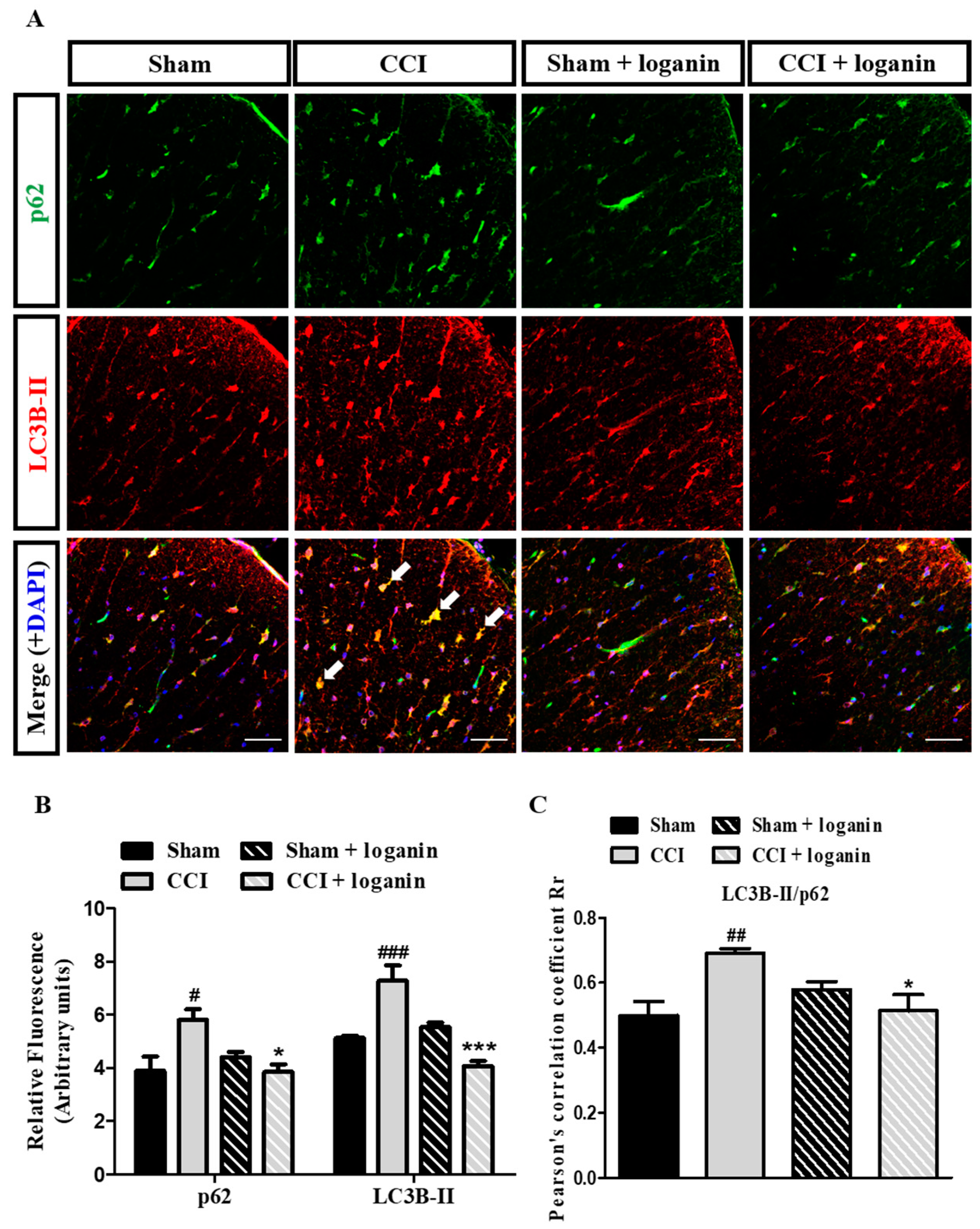 Ijms 23 15873 g003 Ijms 23 15873 g003