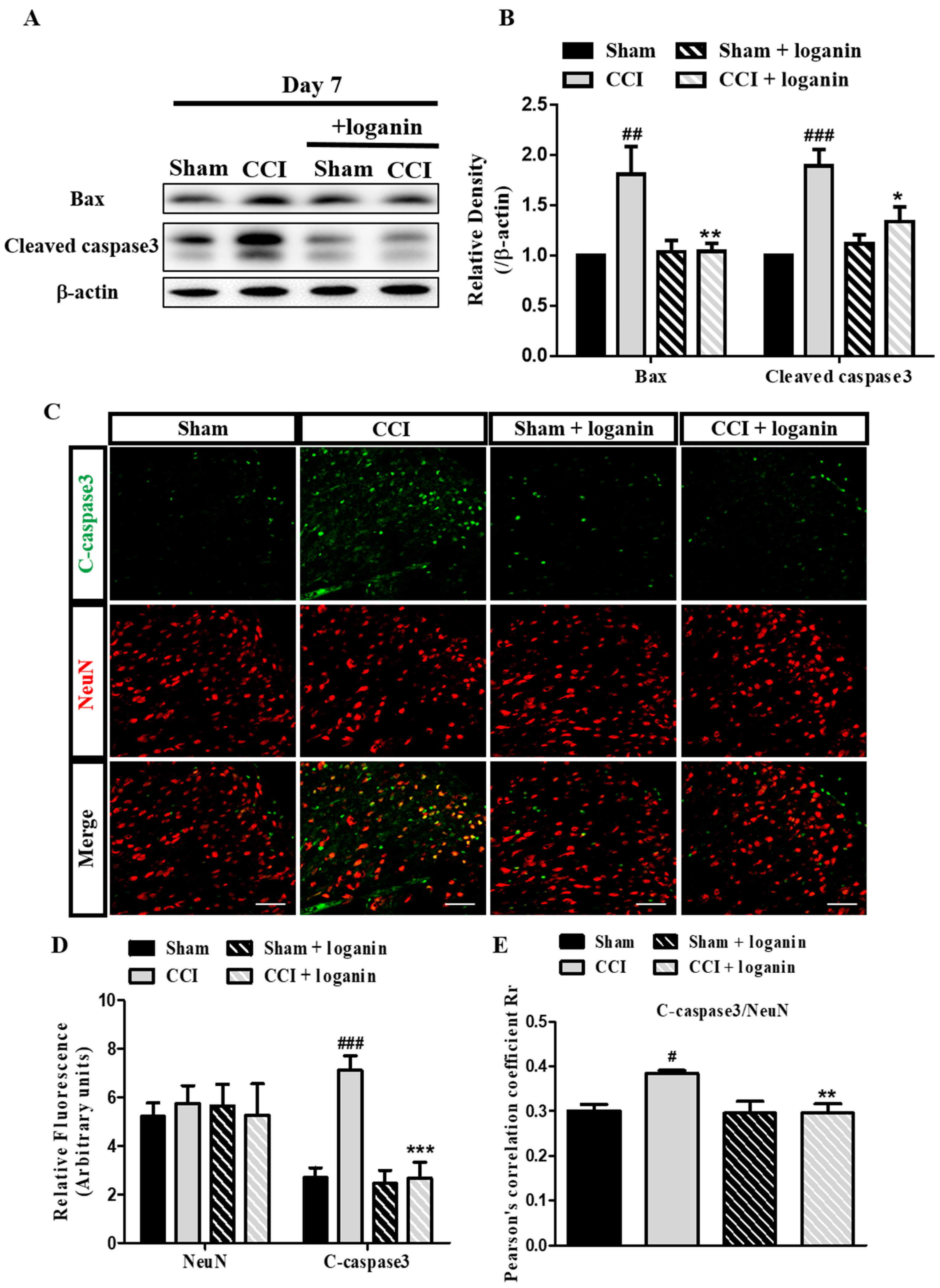 Ijms 23 15873 g005 Ijms 23 15873 g005