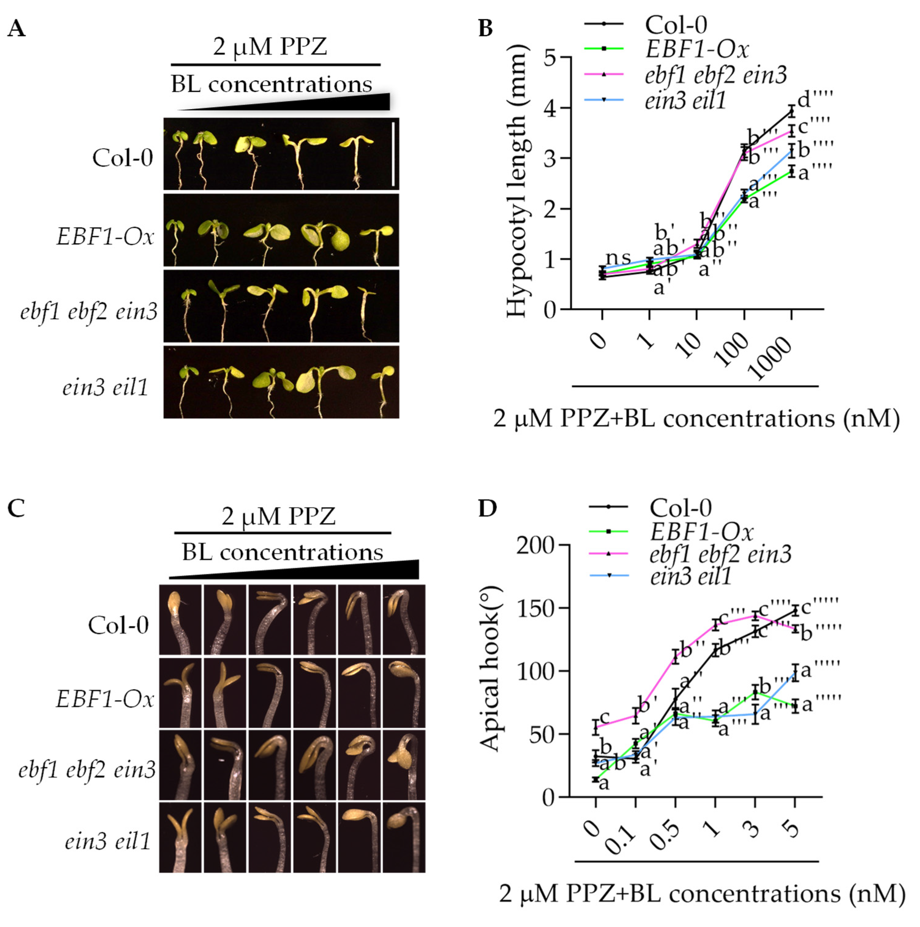Ijms 23 15889 g001 Ijms 23 15889 g001