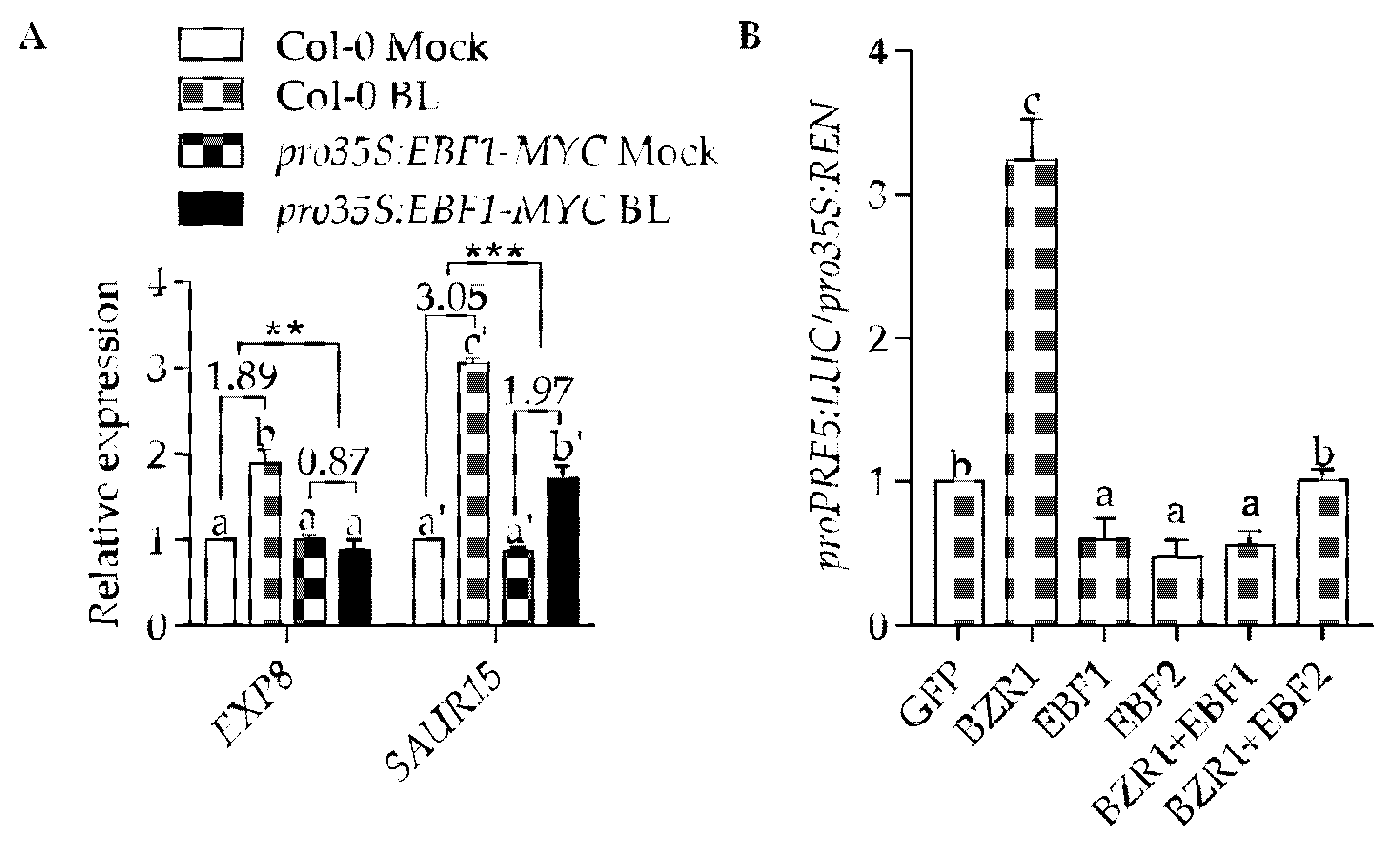 Ijms 23 15889 g003 Ijms 23 15889 g003