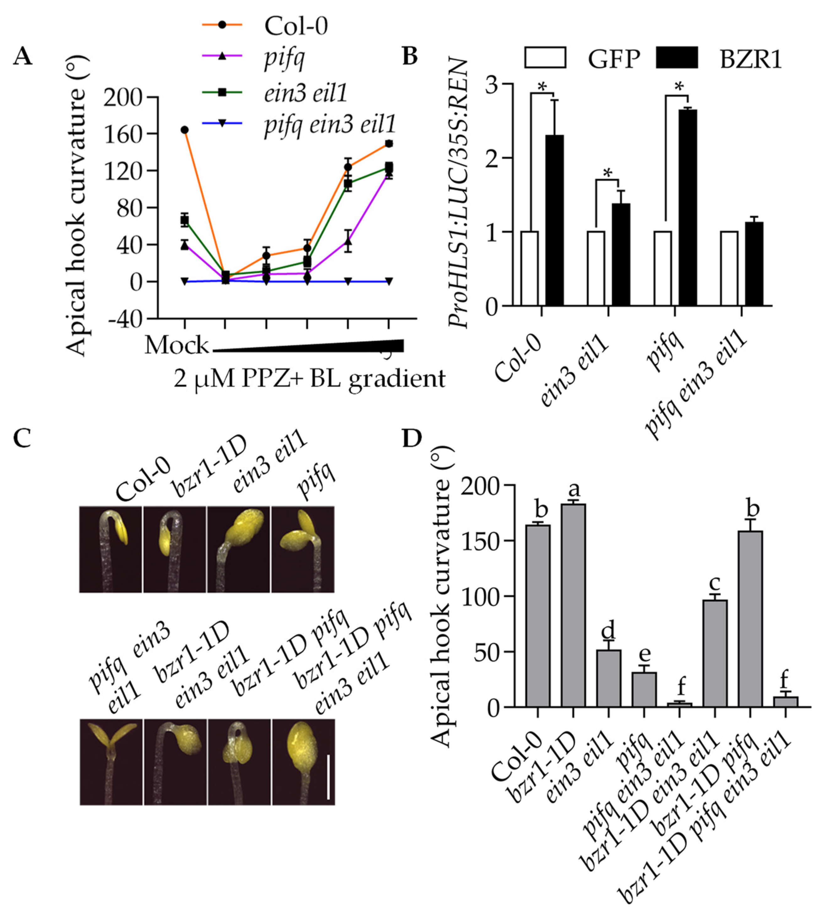 Ijms 23 15889 g006 Ijms 23 15889 g006