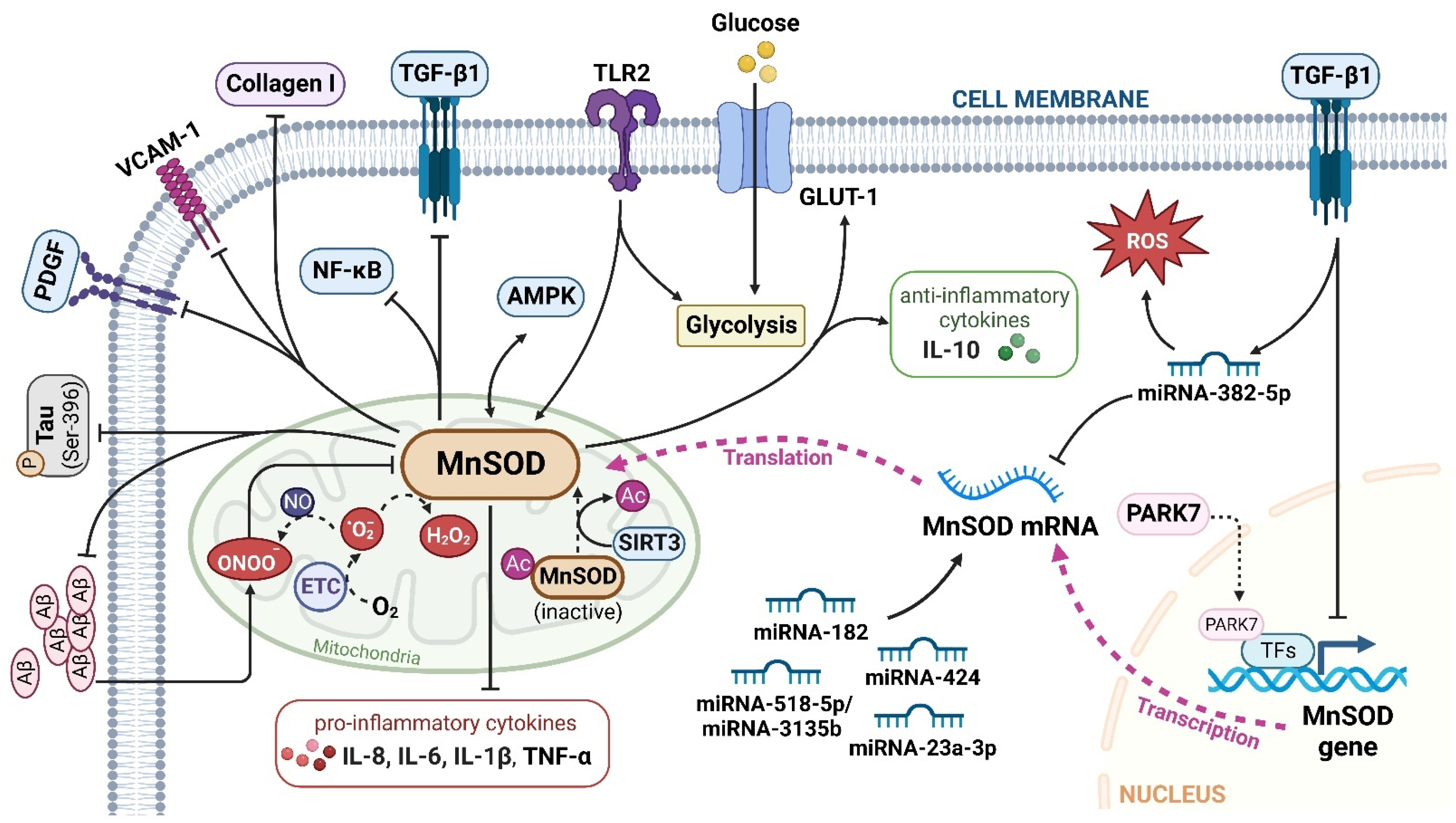 Ijms 23 15893 g002 Ijms 23 15893 g002