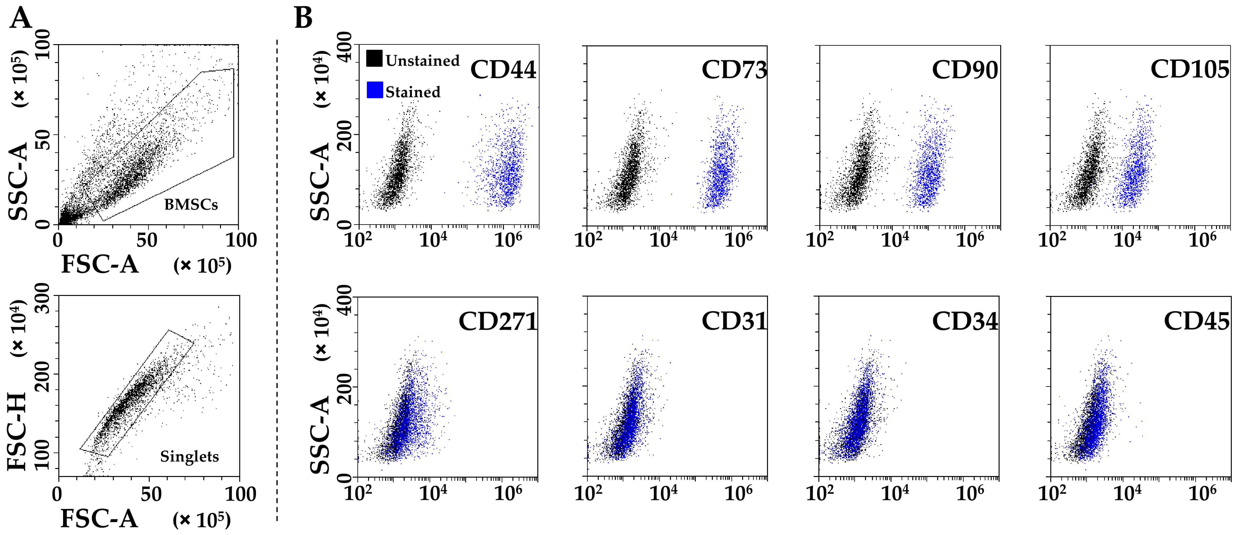 Ijms 23 15908 g001 Ijms 23 15908 g001