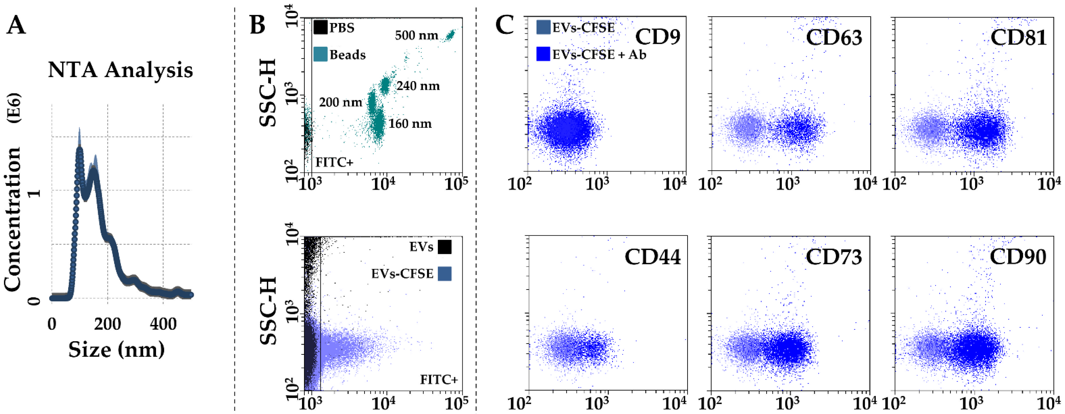 Ijms 23 15908 g004 Ijms 23 15908 g004