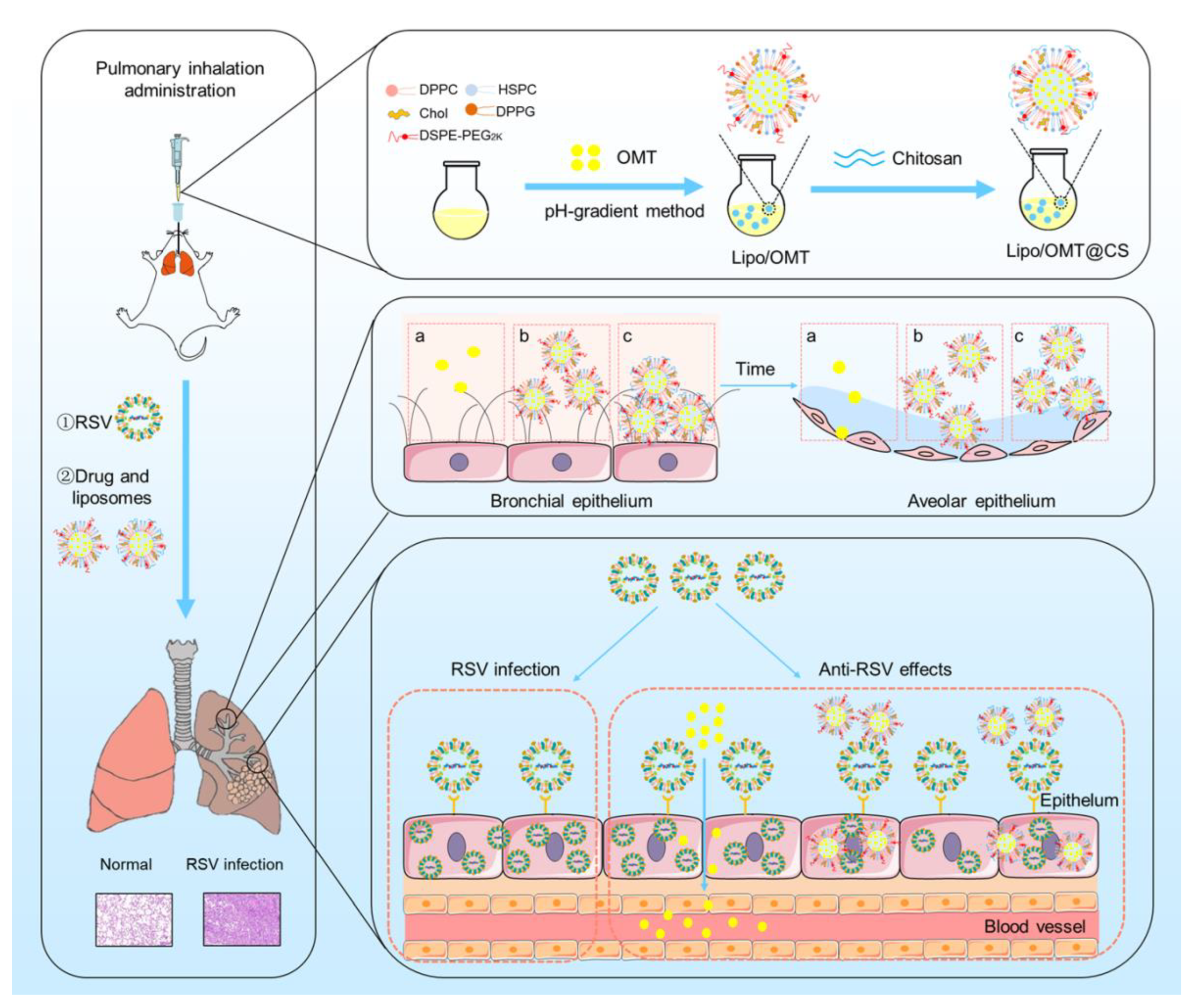 Ijms 23 15909 g001 Ijms 23 15909 g001