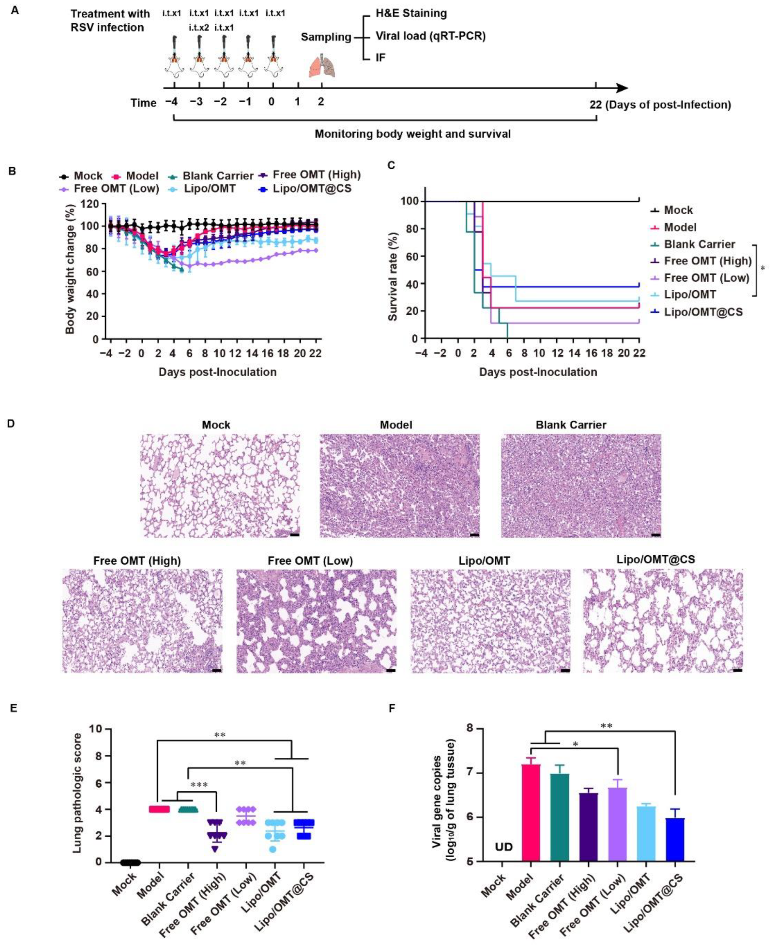 Ijms 23 15909 g006 Ijms 23 15909 g006