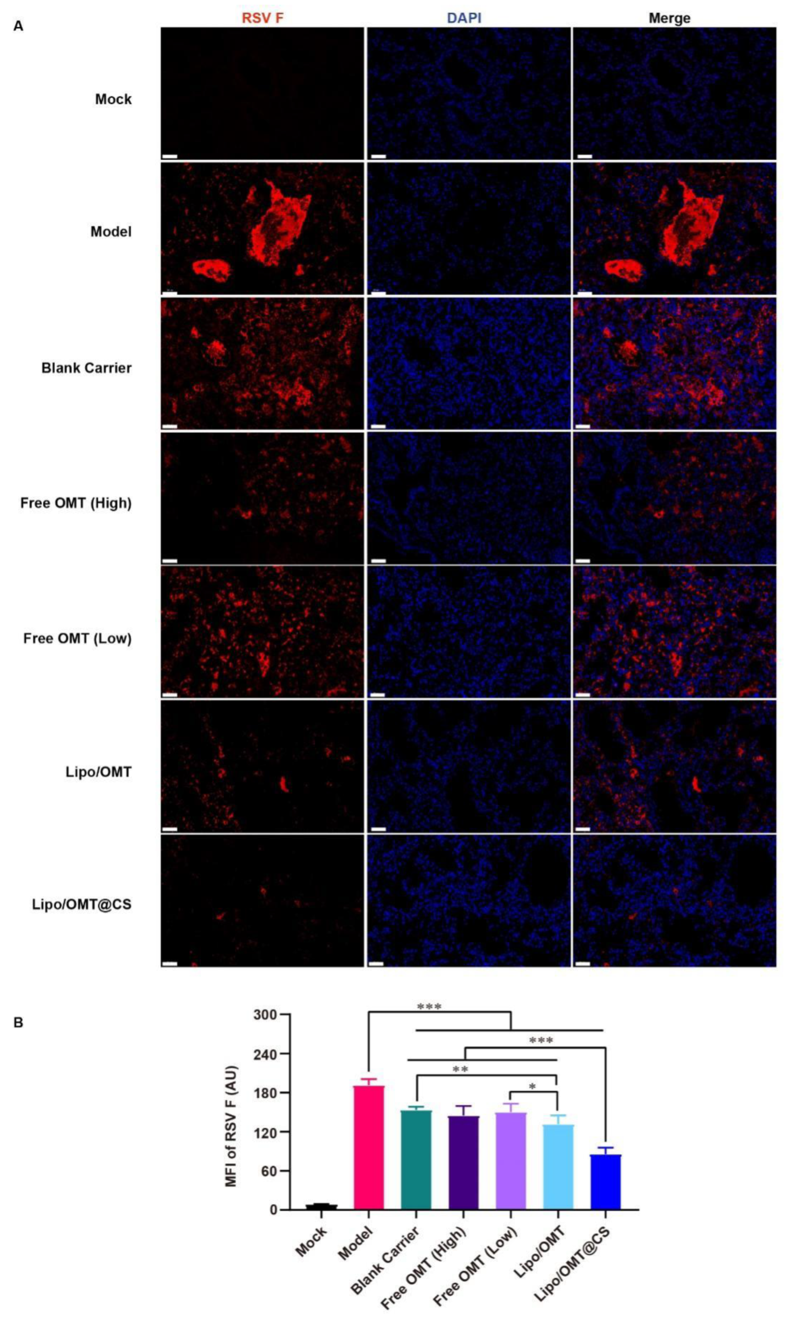 Ijms 23 15909 g007 Ijms 23 15909 g007