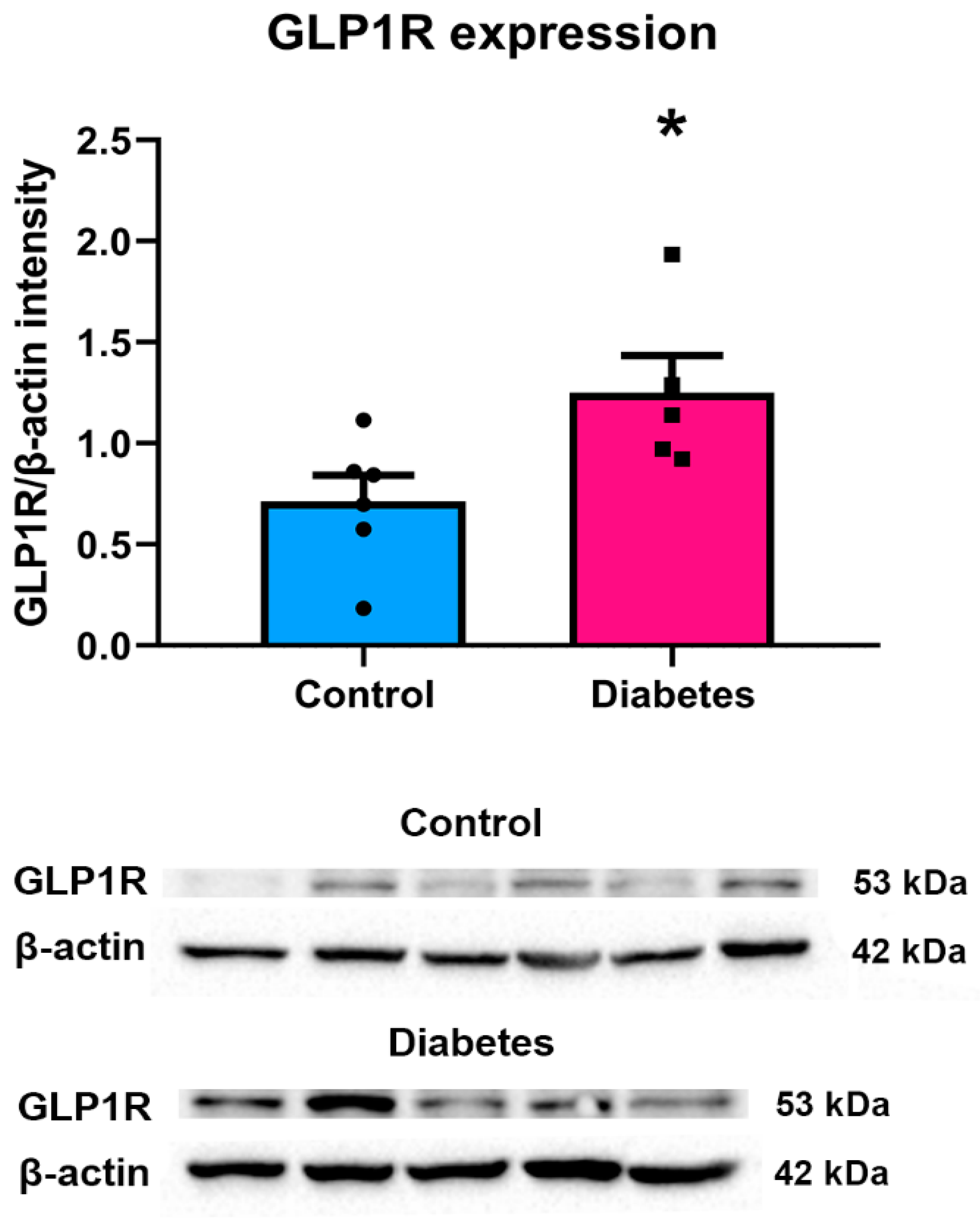 Ijms 23 15945 g002 Ijms 23 15945 g002