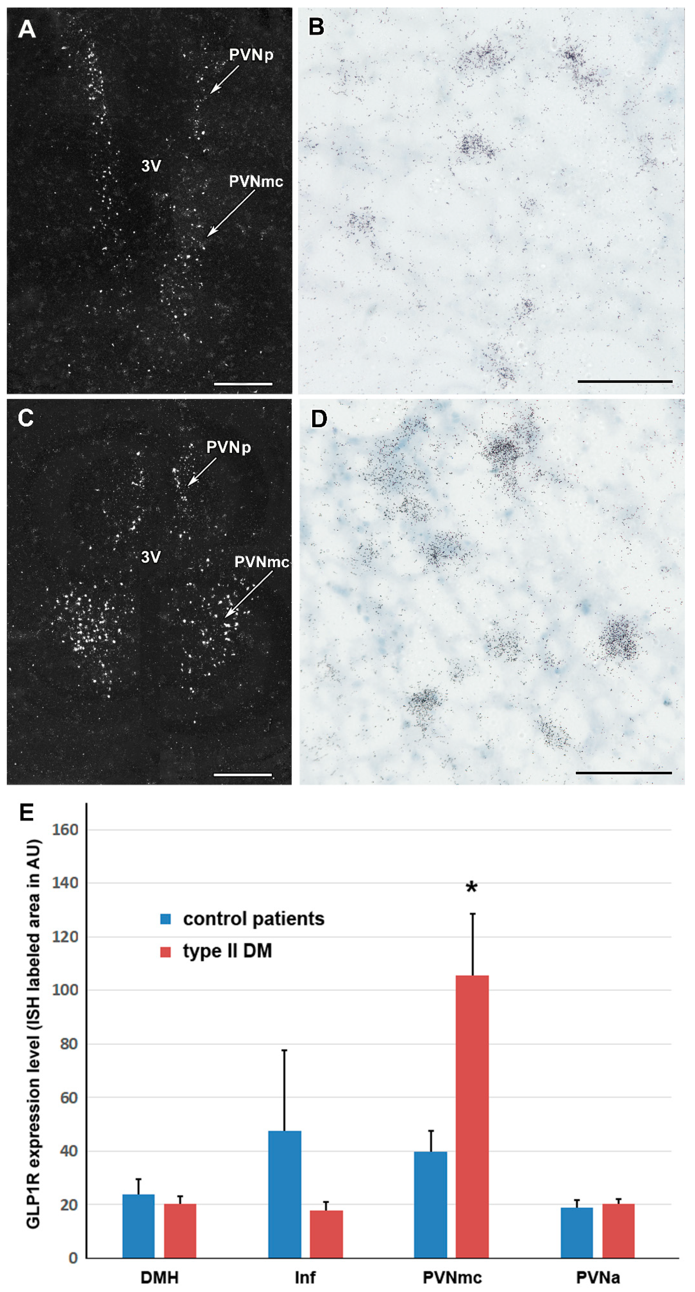 Ijms 23 15945 g004 Ijms 23 15945 g004