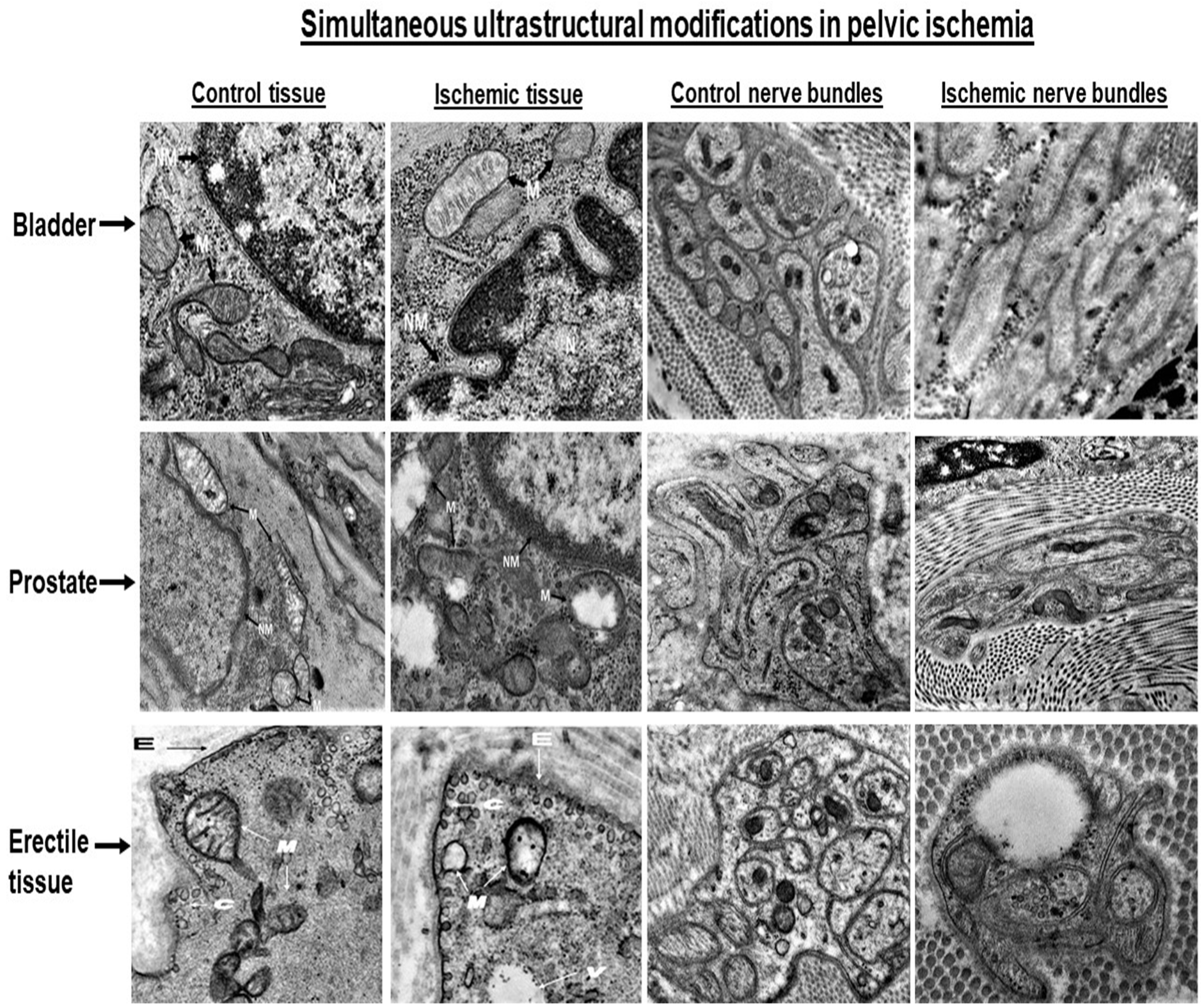 Ijms 23 15988 g002 Ijms 23 15988 g002