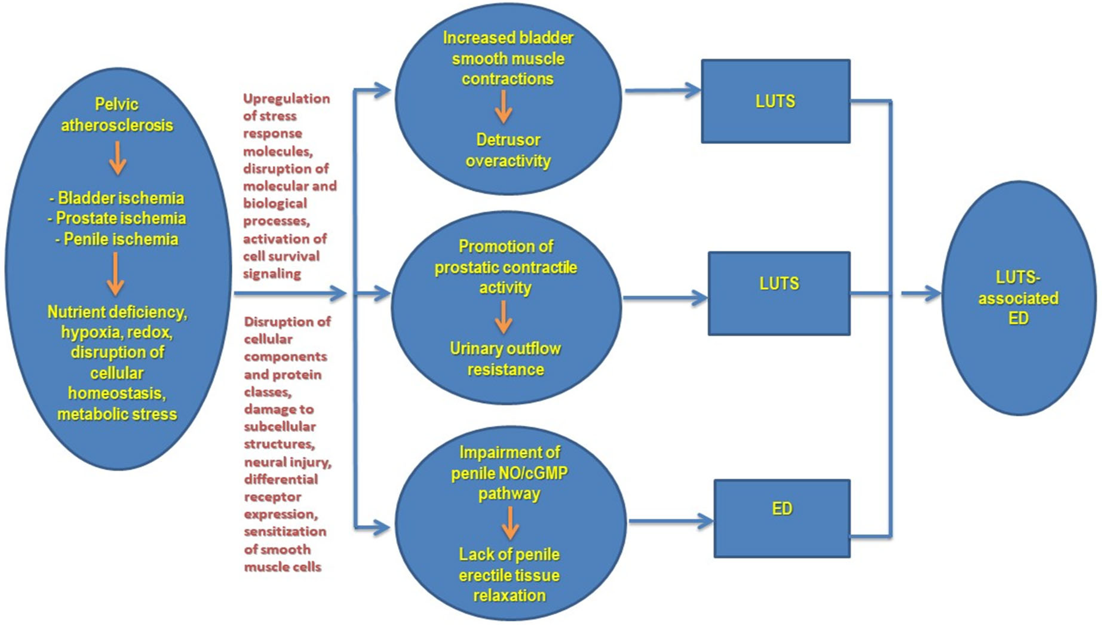 Ijms 23 15988 g004 Ijms 23 15988 g004