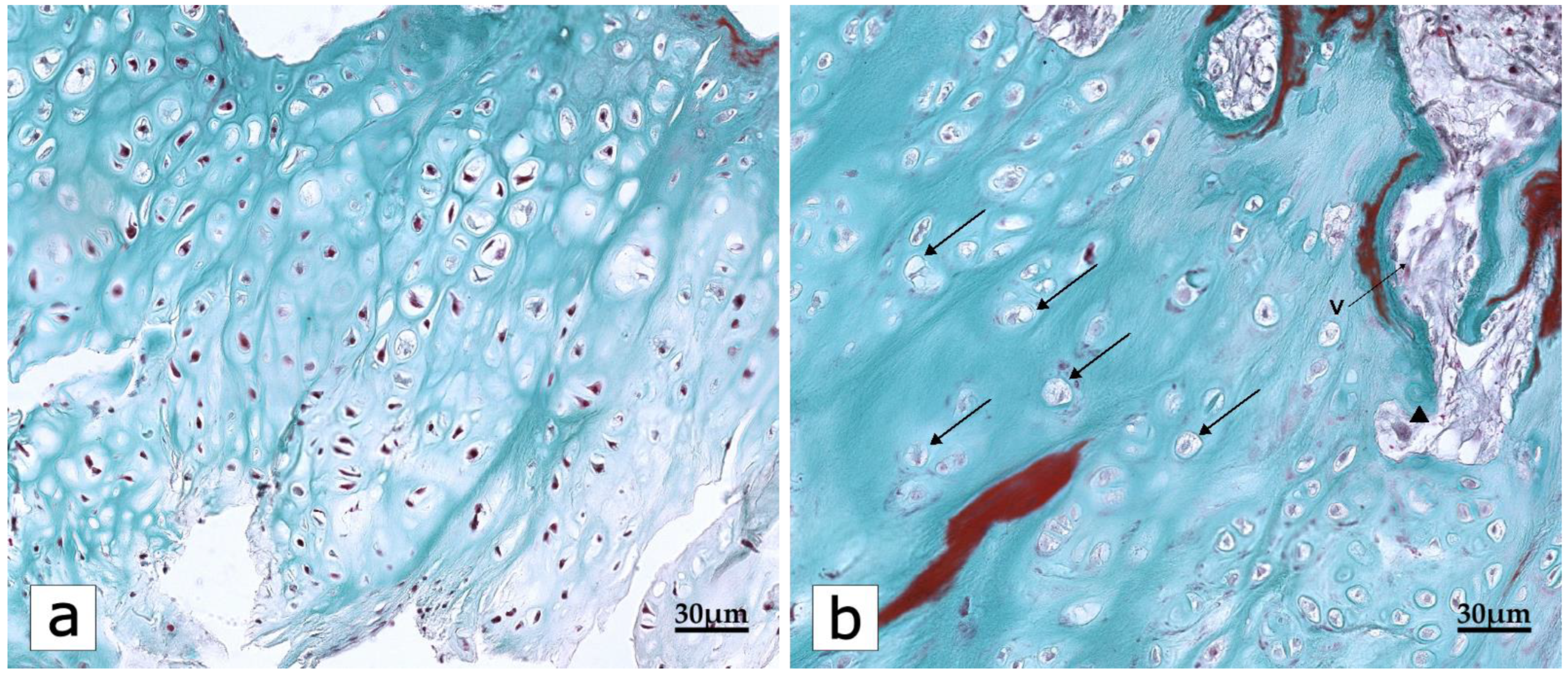 Ijms 23 16031 g002 Ijms 23 16031 g002