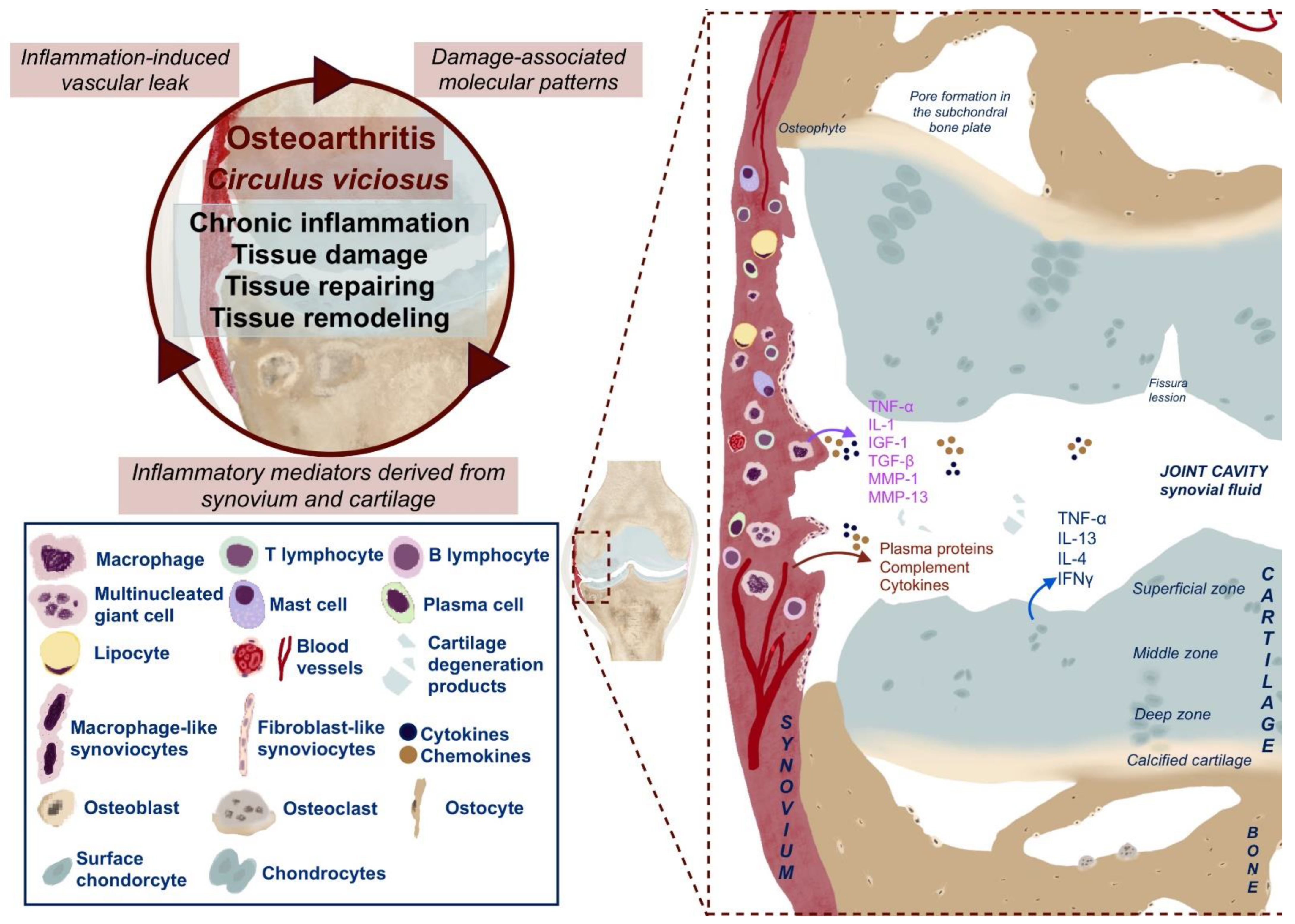 Ijms 23 16031 g003 Ijms 23 16031 g003