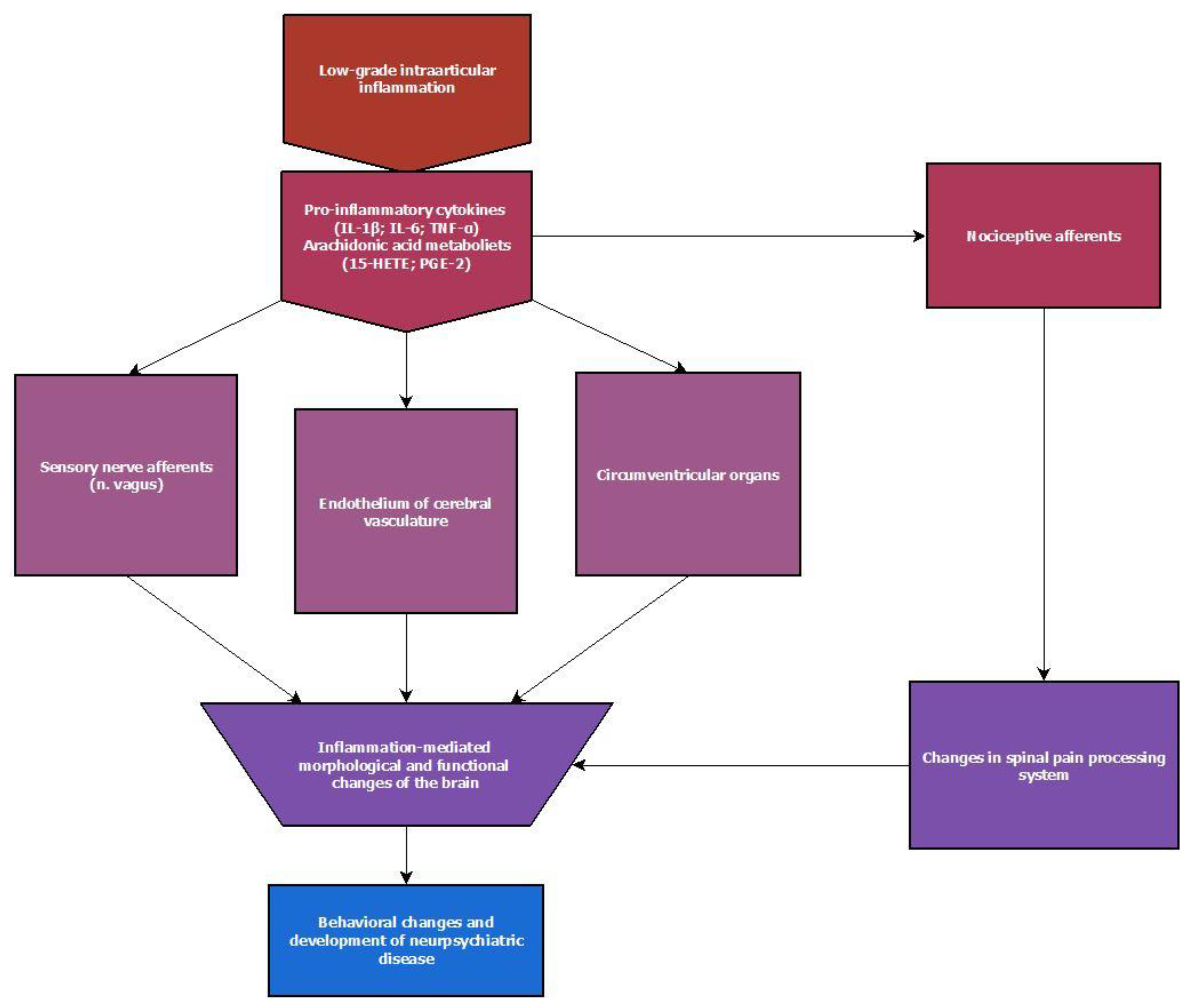 Ijms 23 16031 g004 Ijms 23 16031 g004