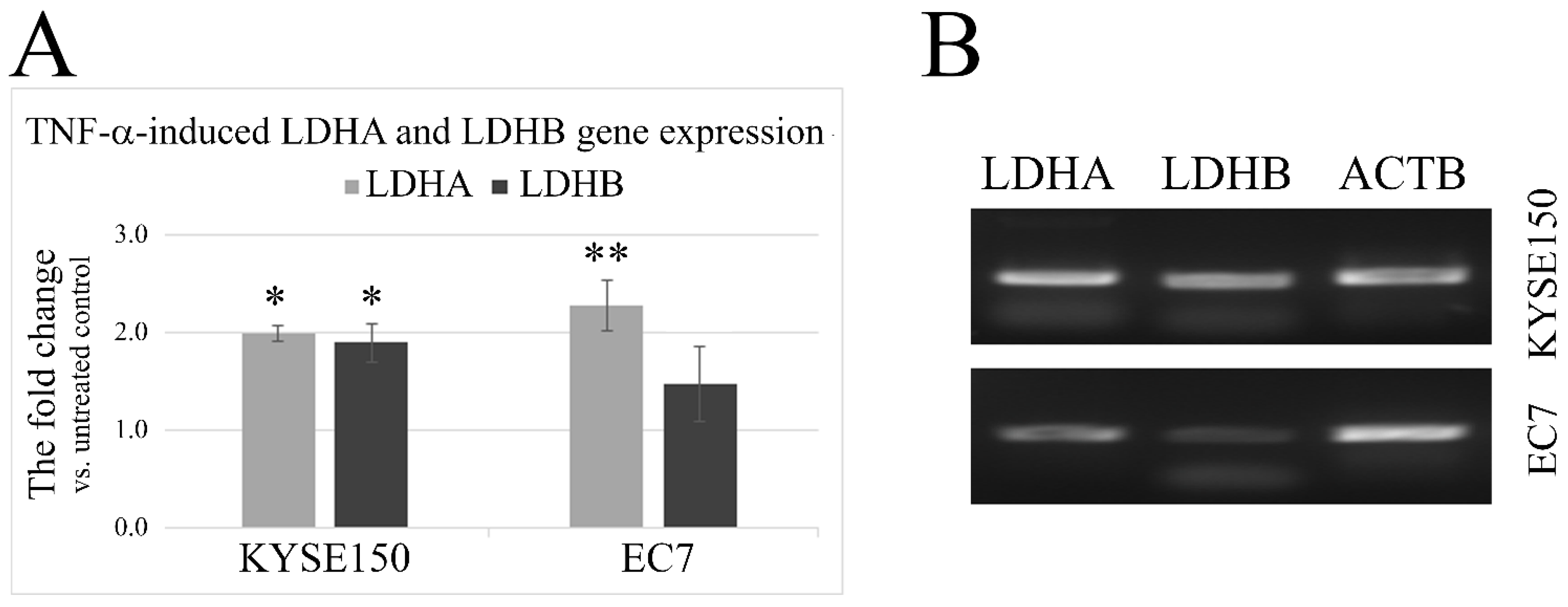 Ijms 23 16062 g002 Ijms 23 16062 g002