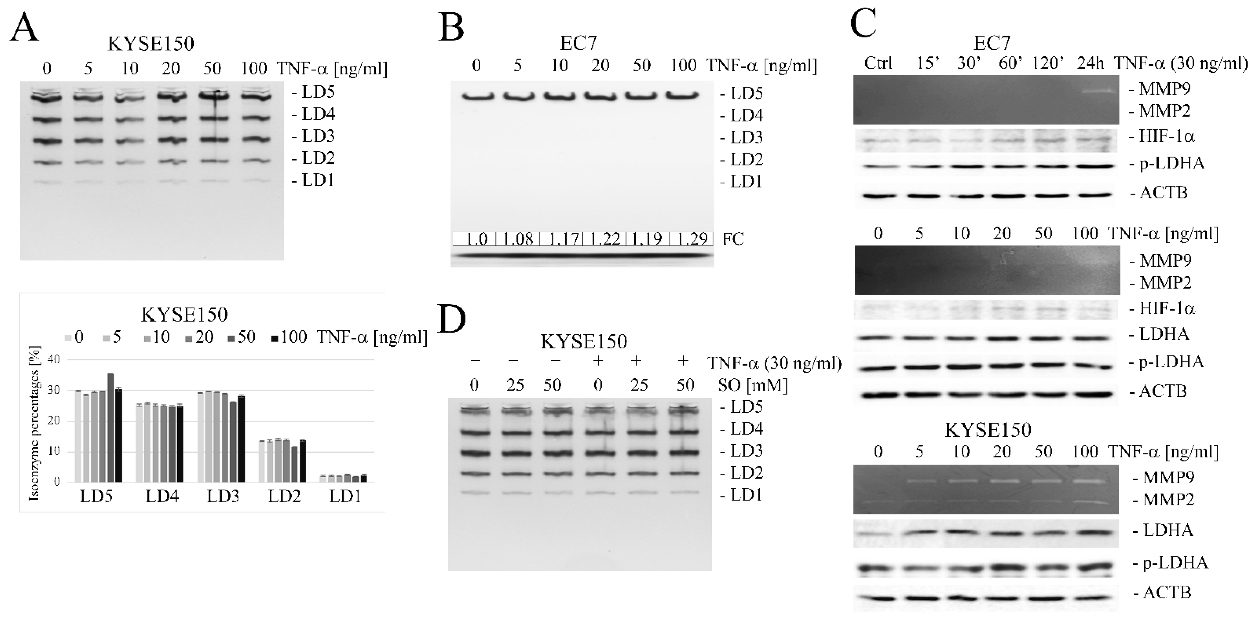 Ijms 23 16062 g003 Ijms 23 16062 g003