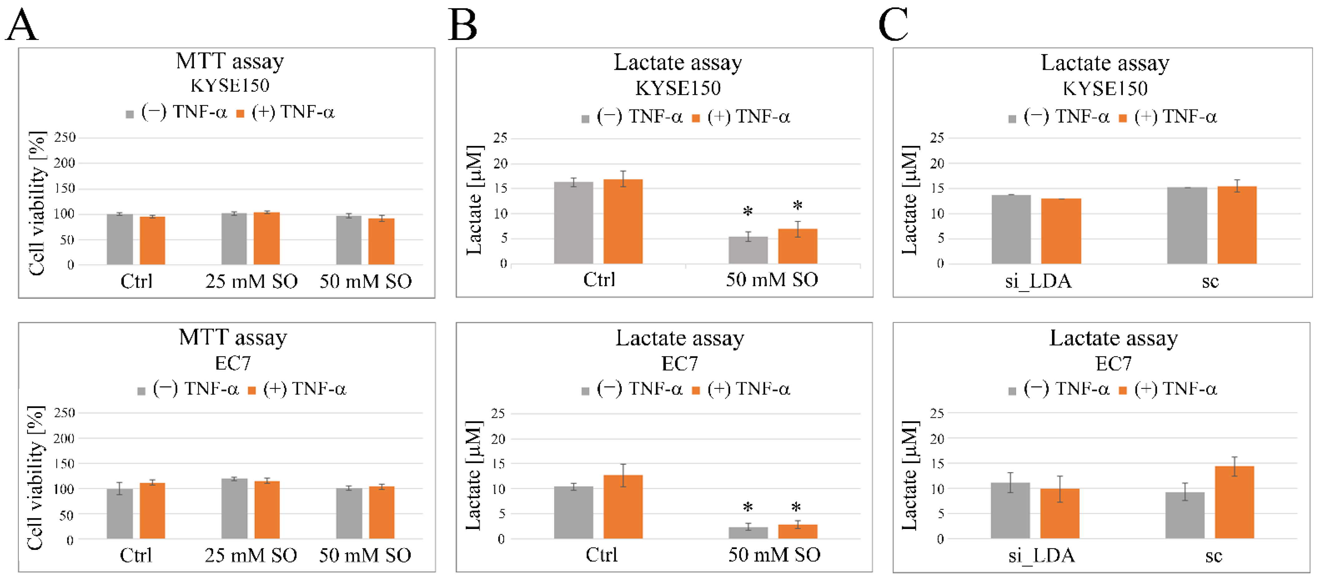 Ijms 23 16062 g004 Ijms 23 16062 g004