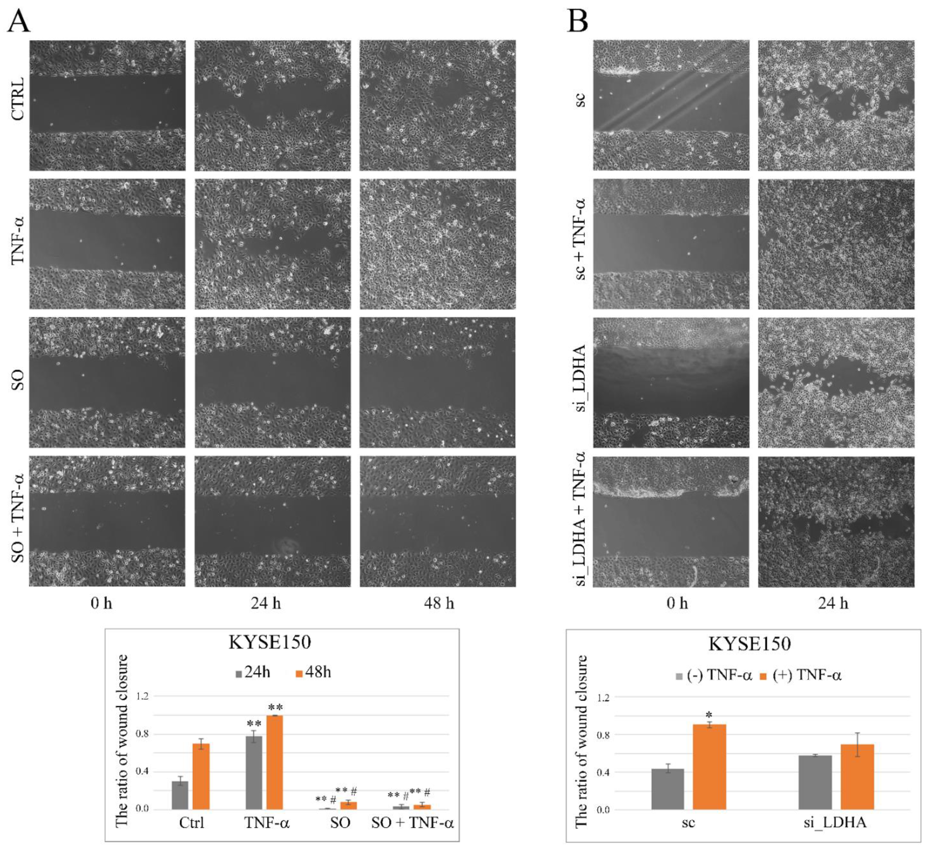 Ijms 23 16062 g005 Ijms 23 16062 g005