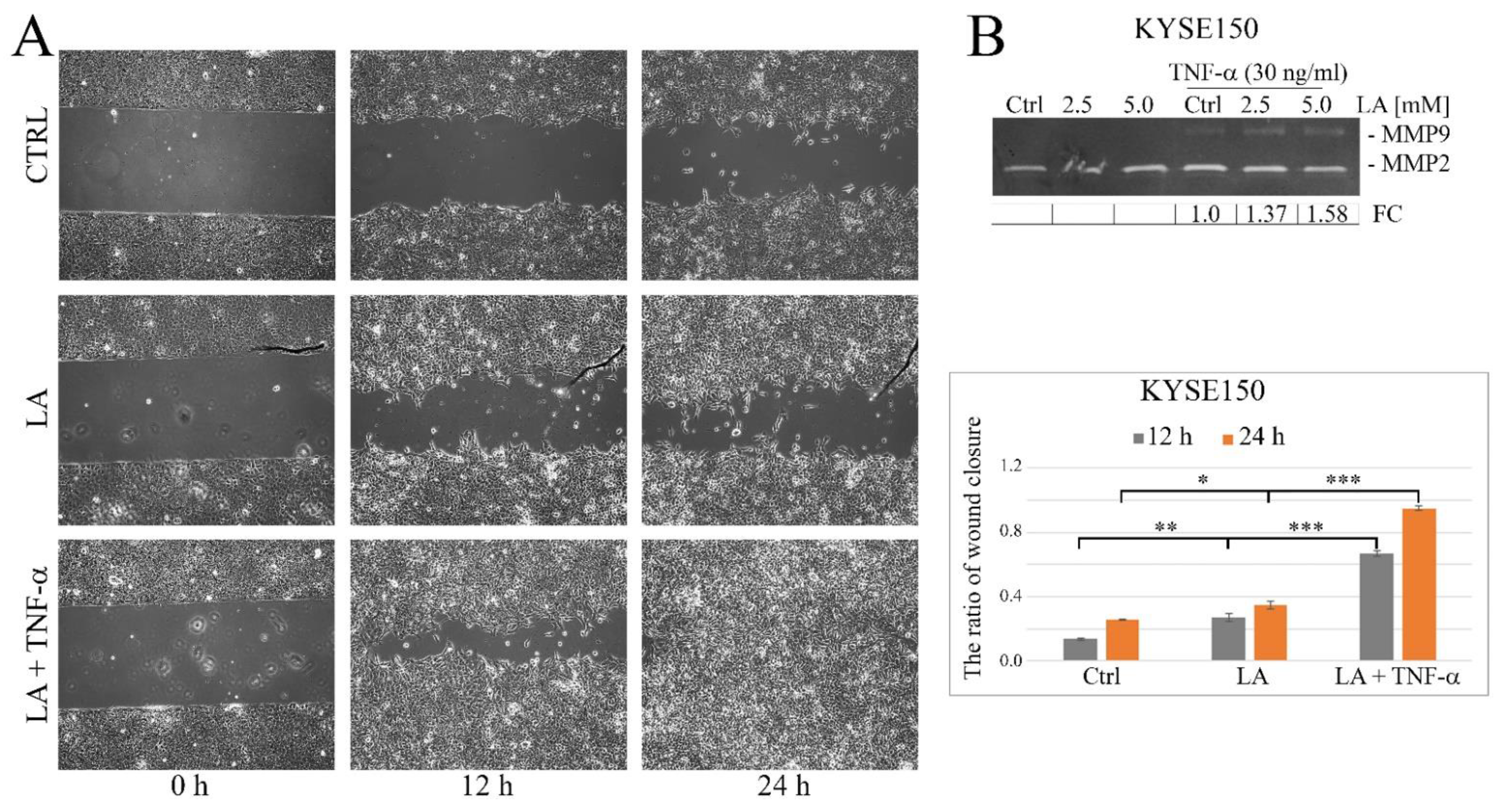 Ijms 23 16062 g009 Ijms 23 16062 g009