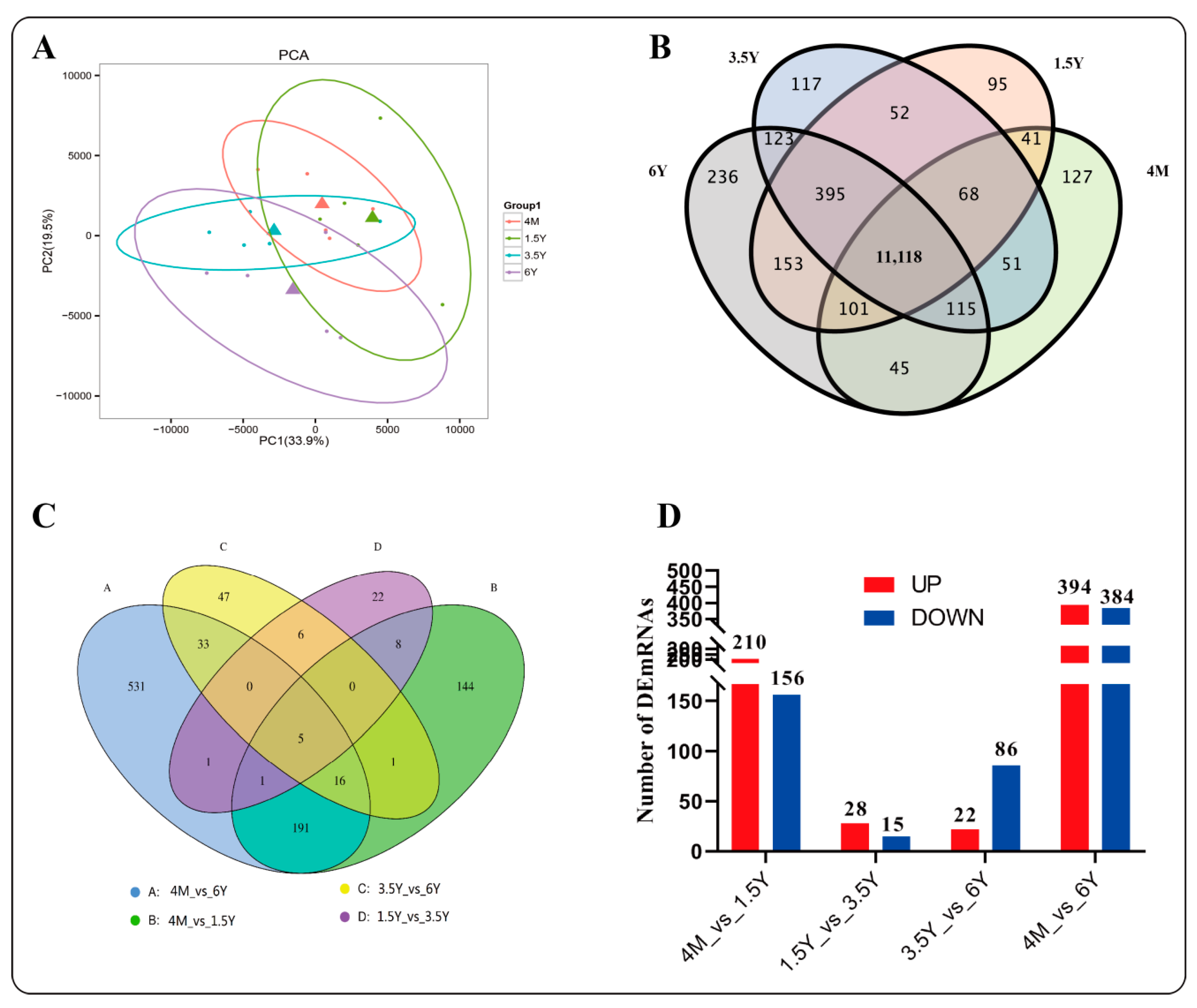 Ijms 23 16078 g004 Ijms 23 16078 g004