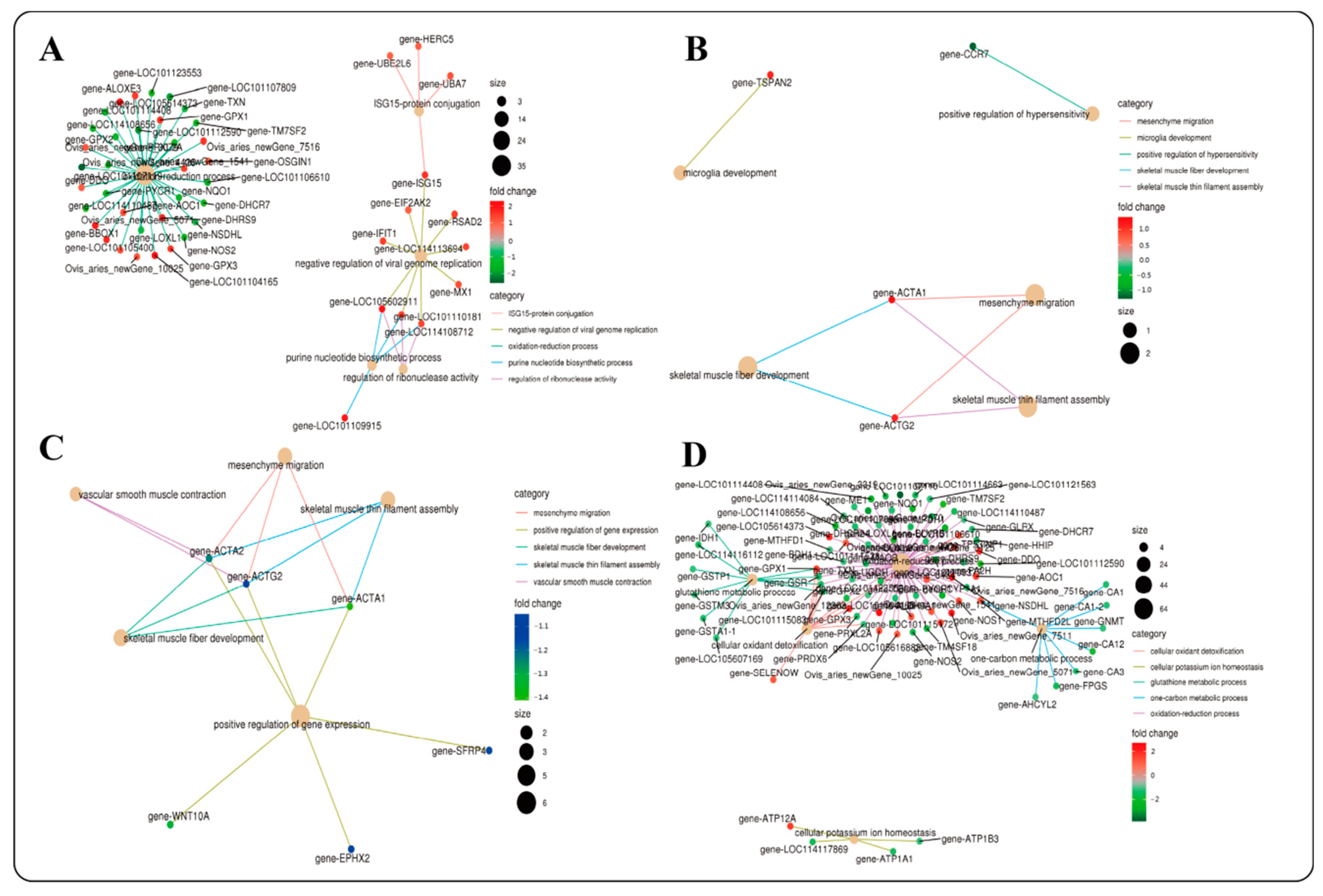 Ijms 23 16078 g005 Ijms 23 16078 g005
