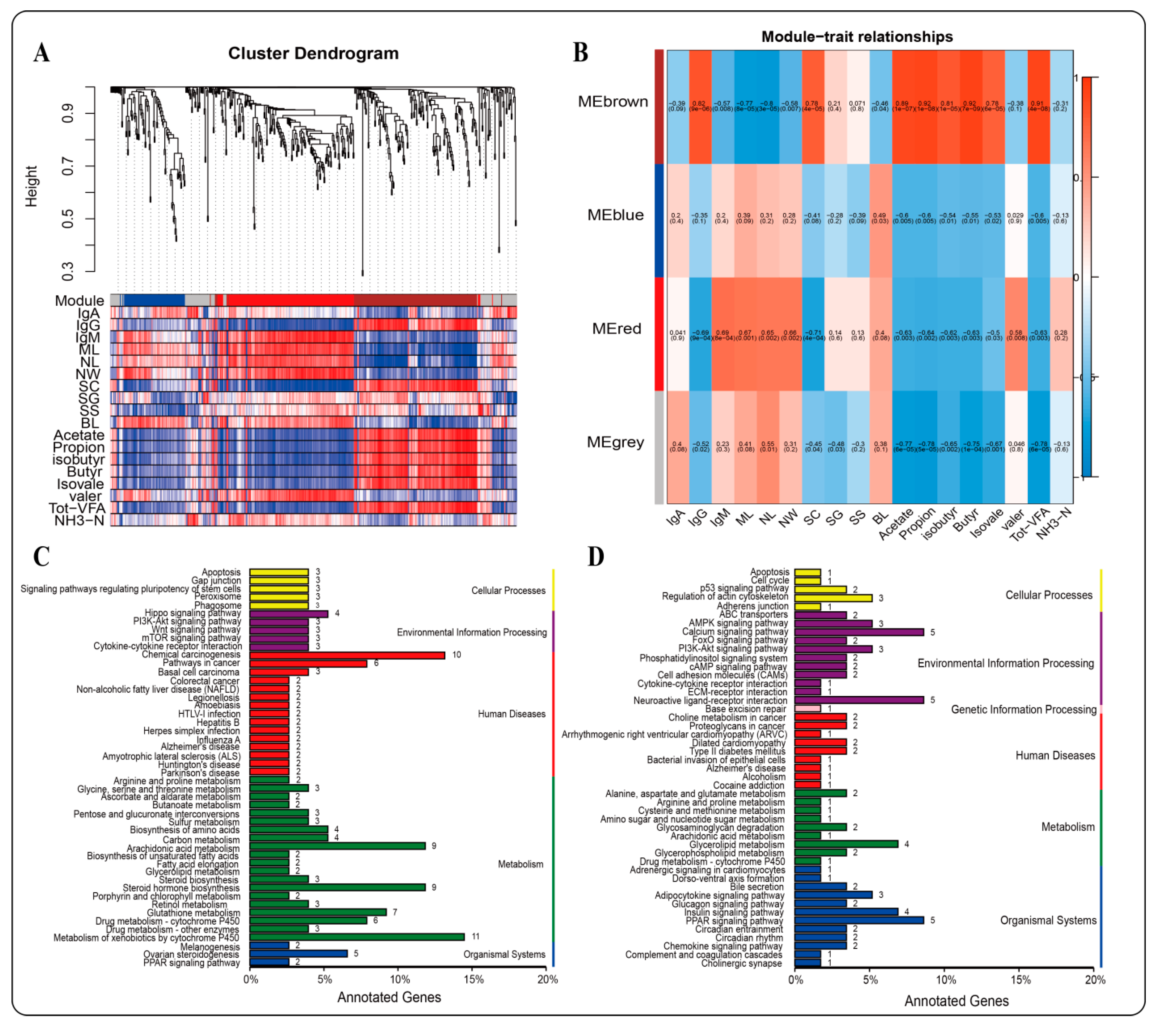 Ijms 23 16078 g007 Ijms 23 16078 g007