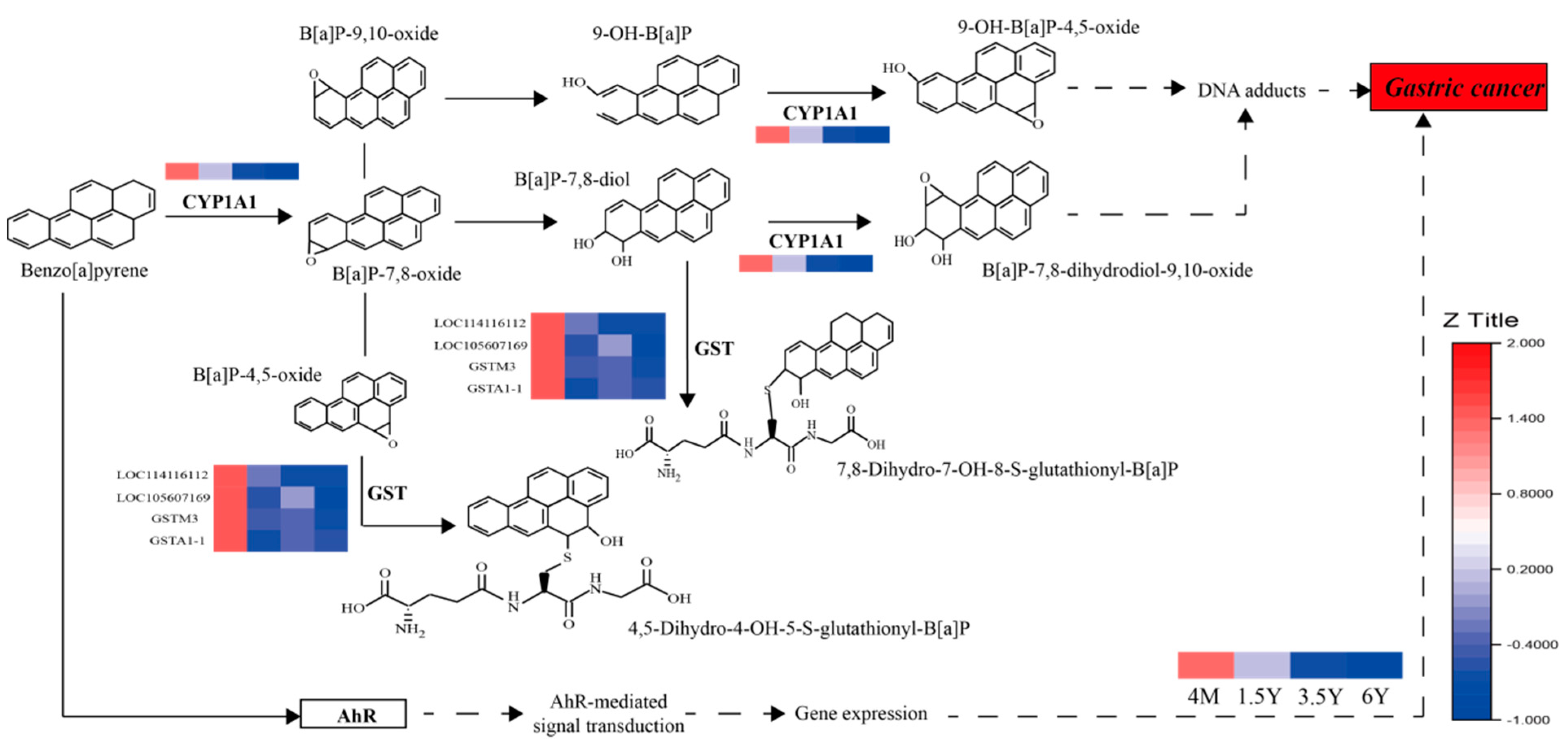 Ijms 23 16078 g008 Ijms 23 16078 g008