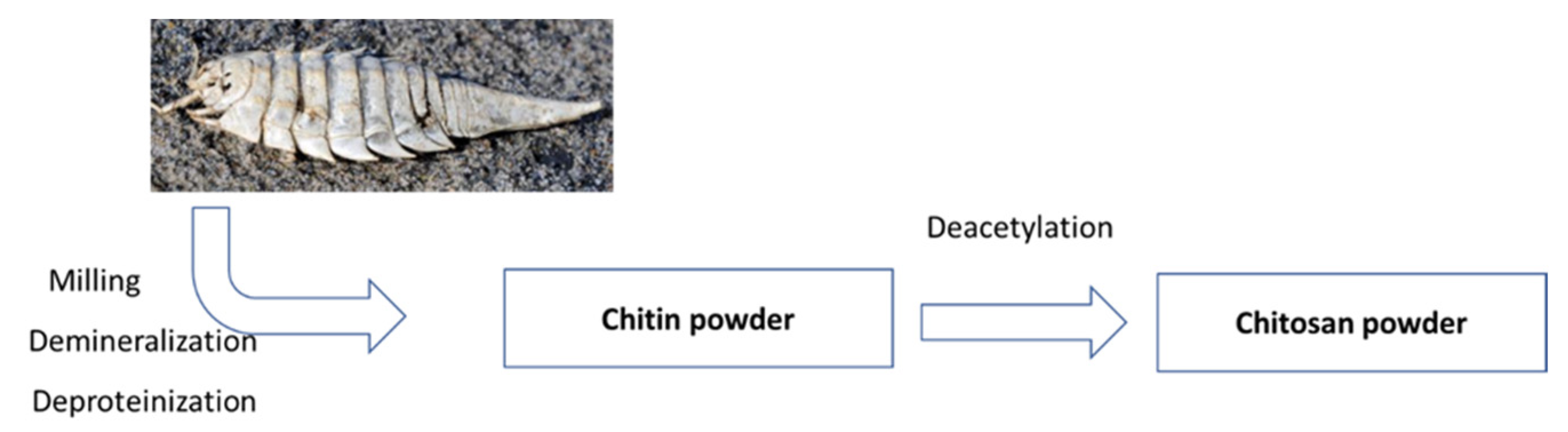 Ijms 23 16125 sch001