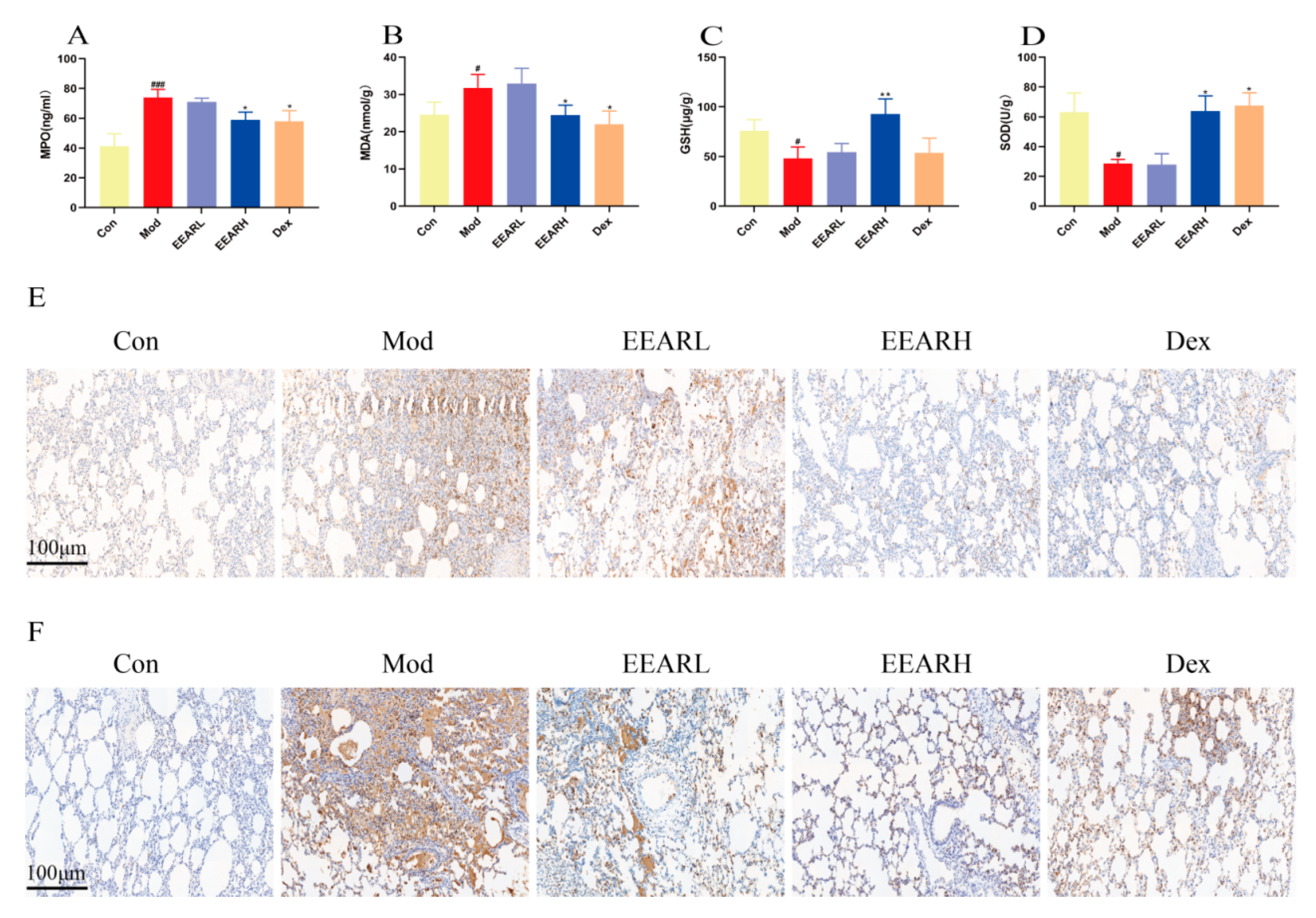 Ijms 23 16134 g003 Ijms 23 16134 g003