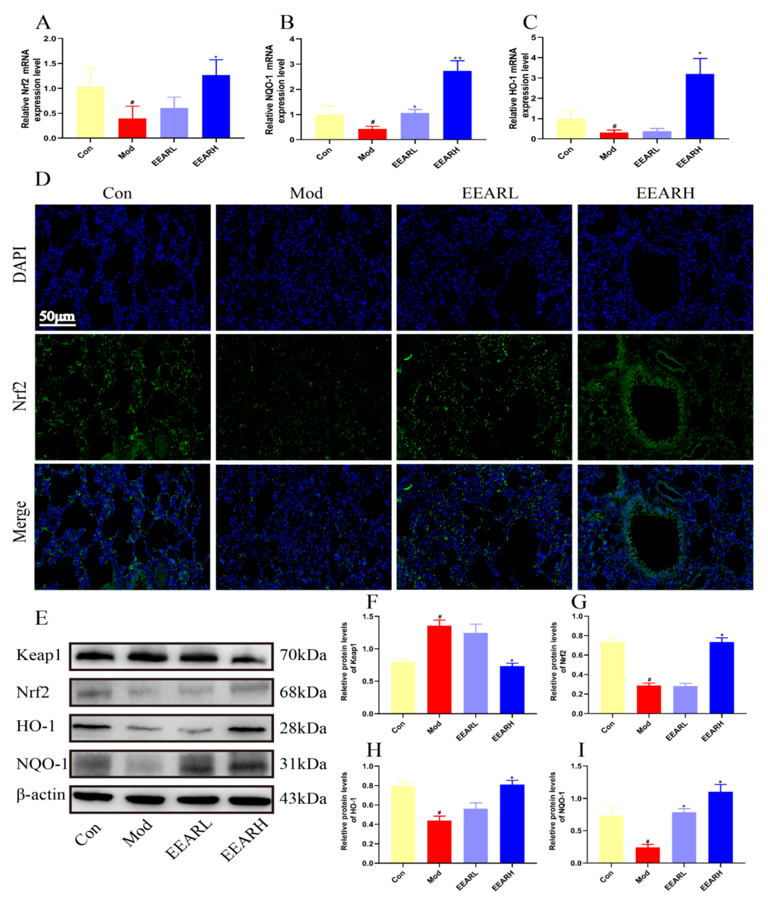 Ijms 23 16134 g006 Ijms 23 16134 g006