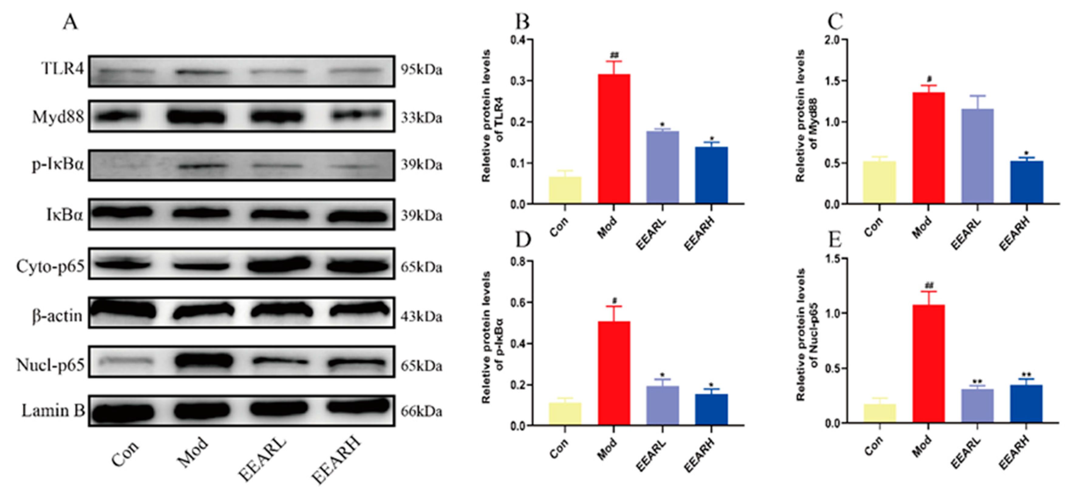 Ijms 23 16134 g008 Ijms 23 16134 g008