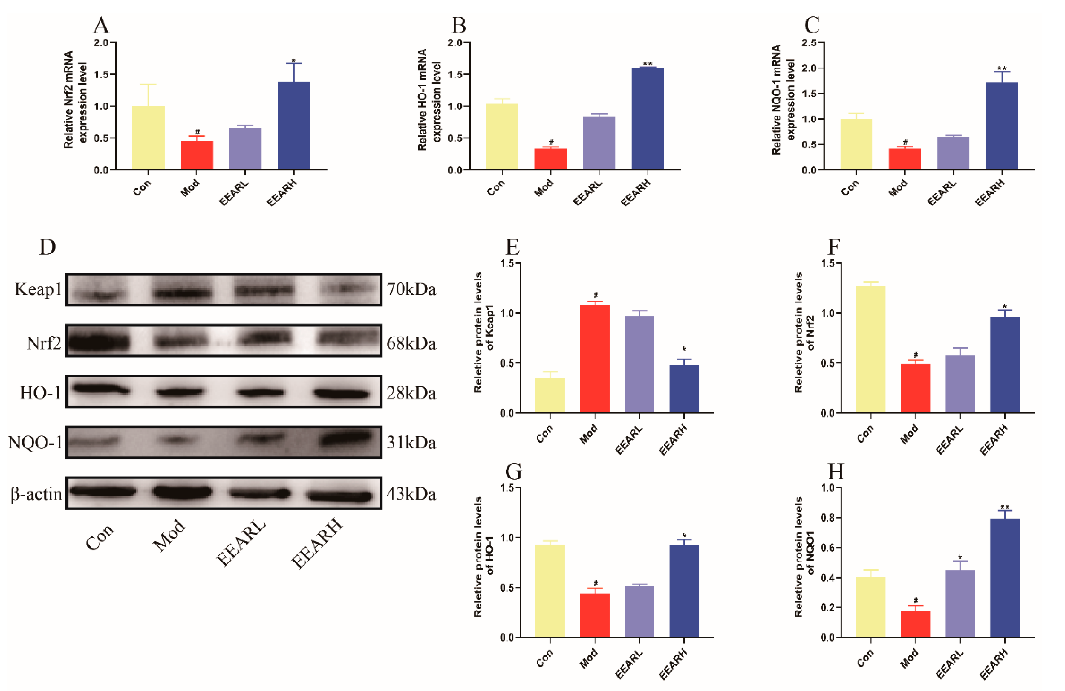 Ijms 23 16134 g009 Ijms 23 16134 g009