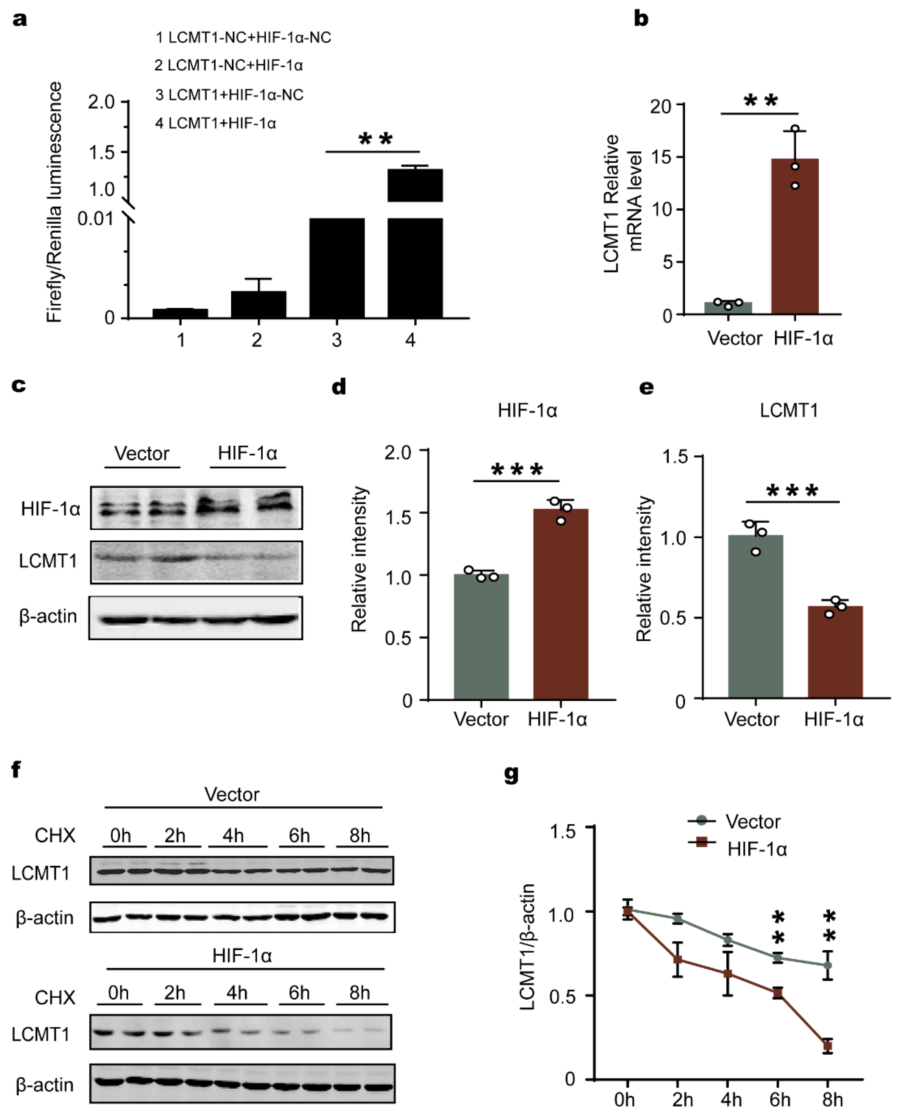 Ijms 23 16140 g007