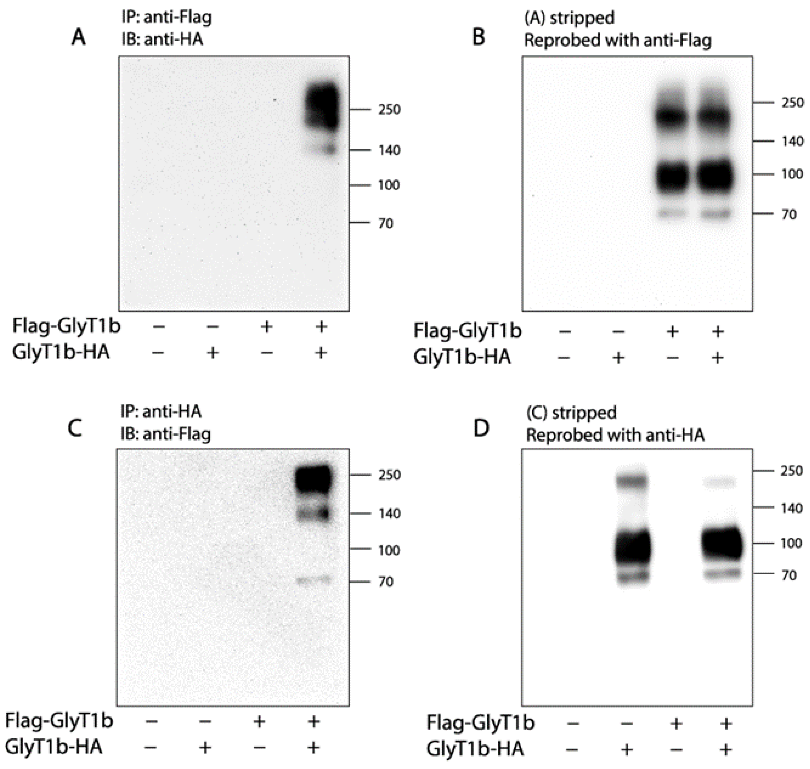 Ijms 23 16157 g001 Ijms 23 16157 g001