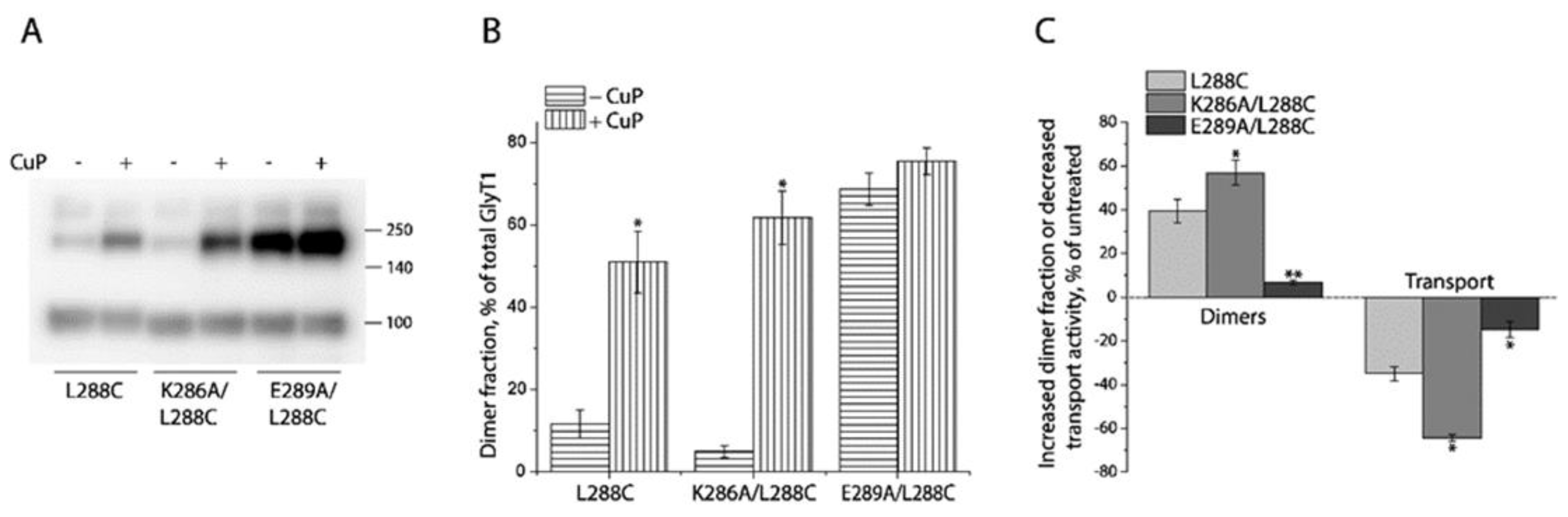 Ijms 23 16157 g005 Ijms 23 16157 g005