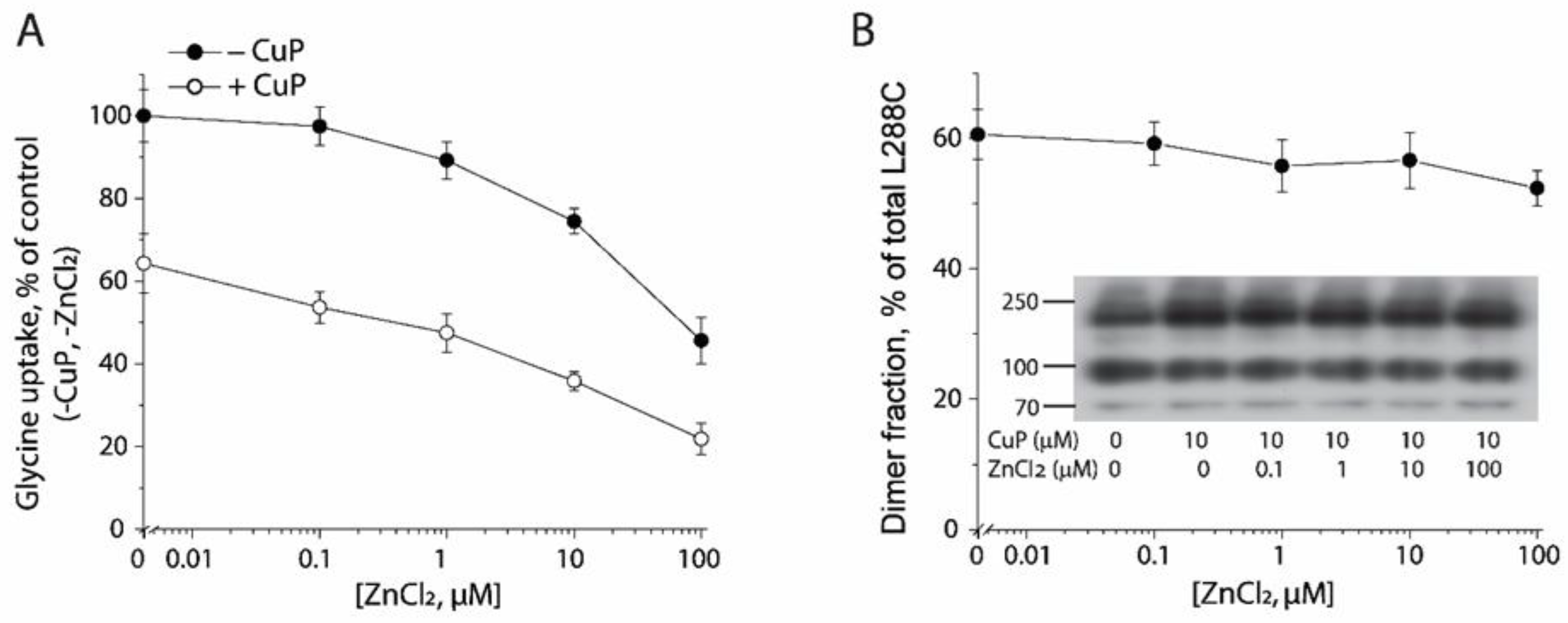 Ijms 23 16157 g006 Ijms 23 16157 g006