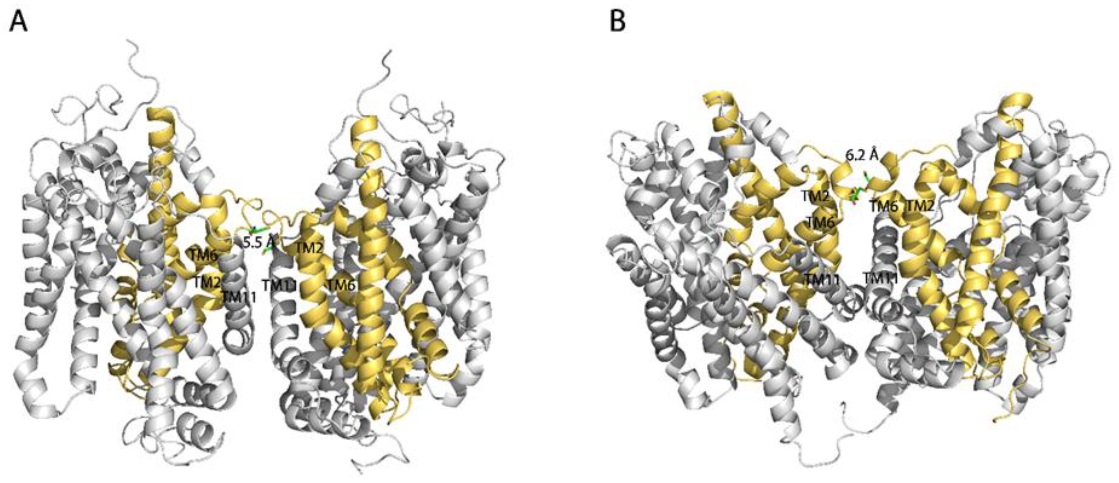Ijms 23 16157 g008 Ijms 23 16157 g008
