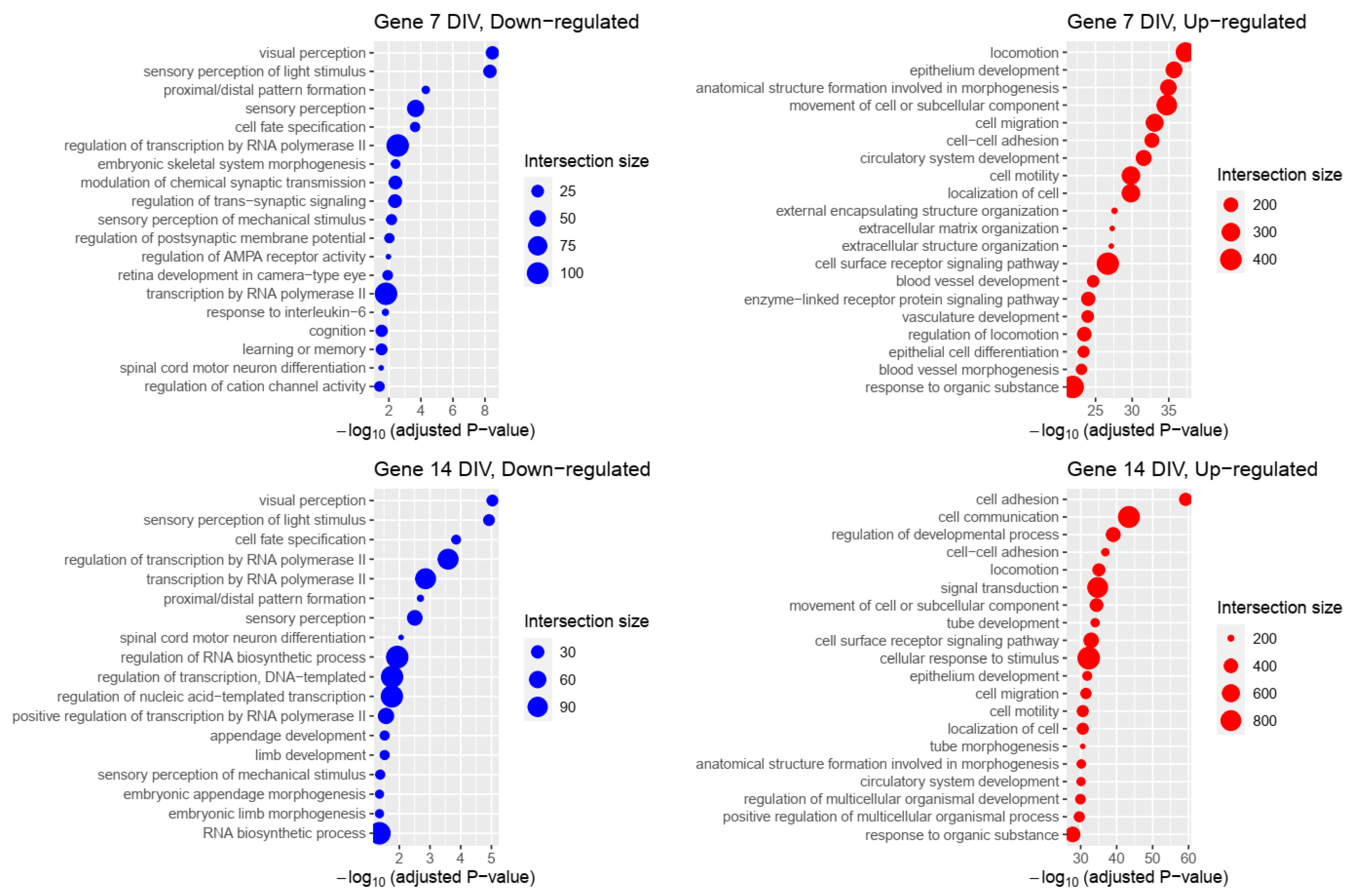 Ijms 23 16222 g003 Ijms 23 16222 g003