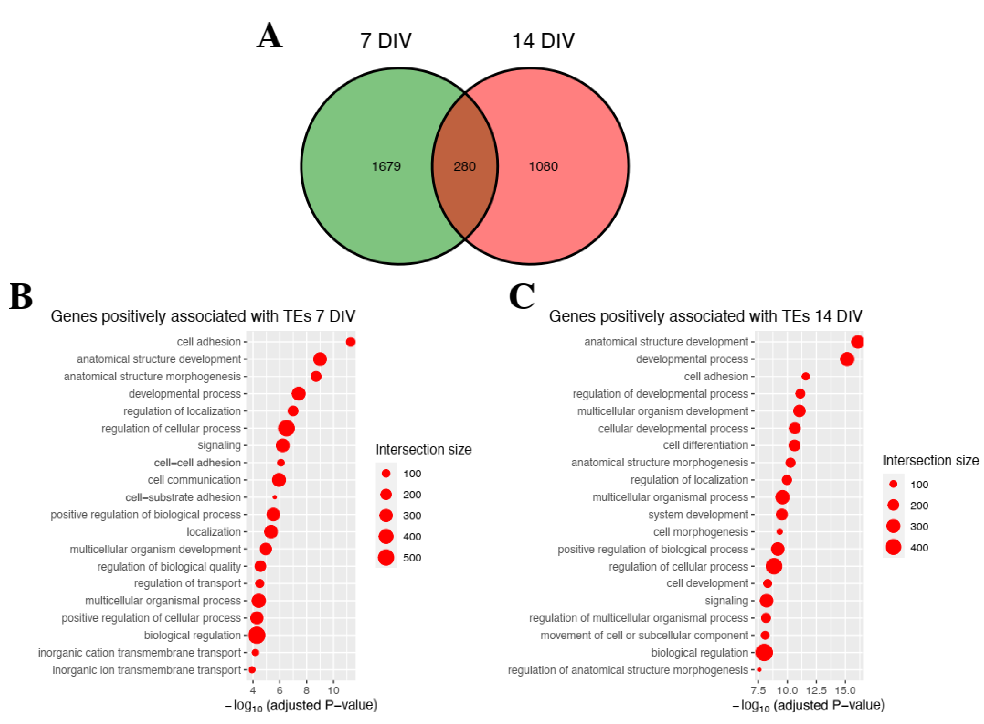 Ijms 23 16222 g004 Ijms 23 16222 g004