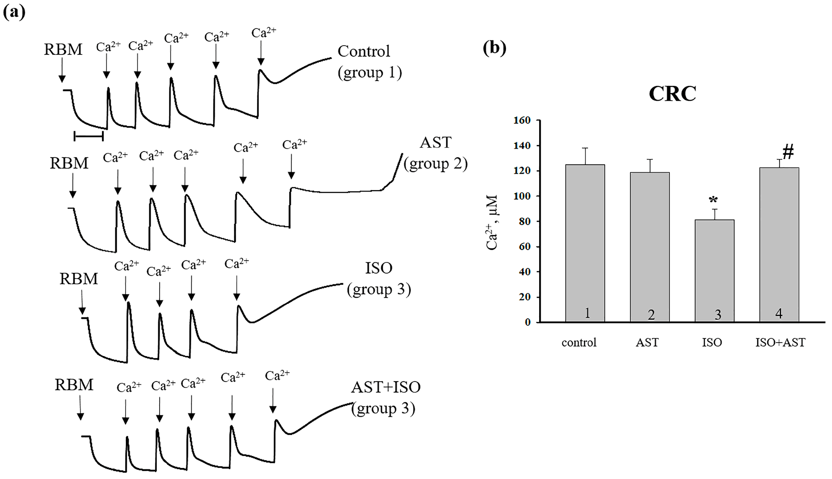 Ijms 24 00031 g003 Ijms 24 00031 g003