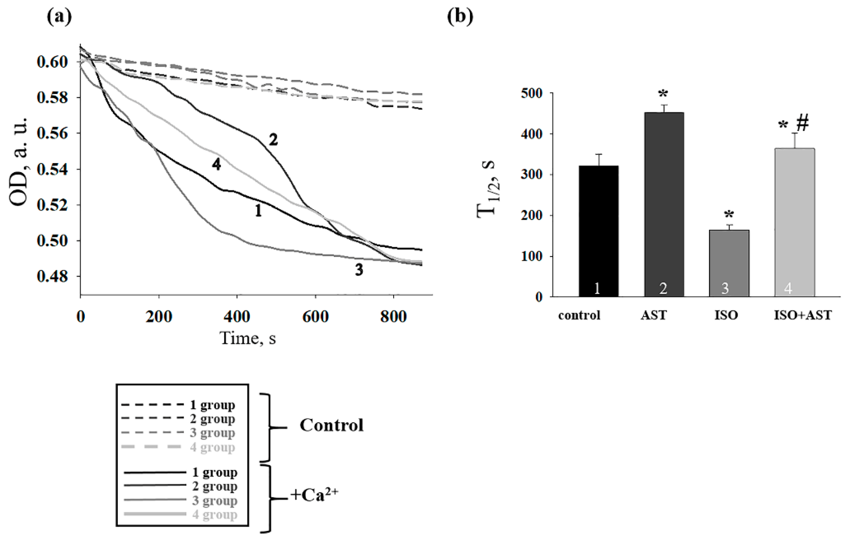 Ijms 24 00031 g004 Ijms 24 00031 g004