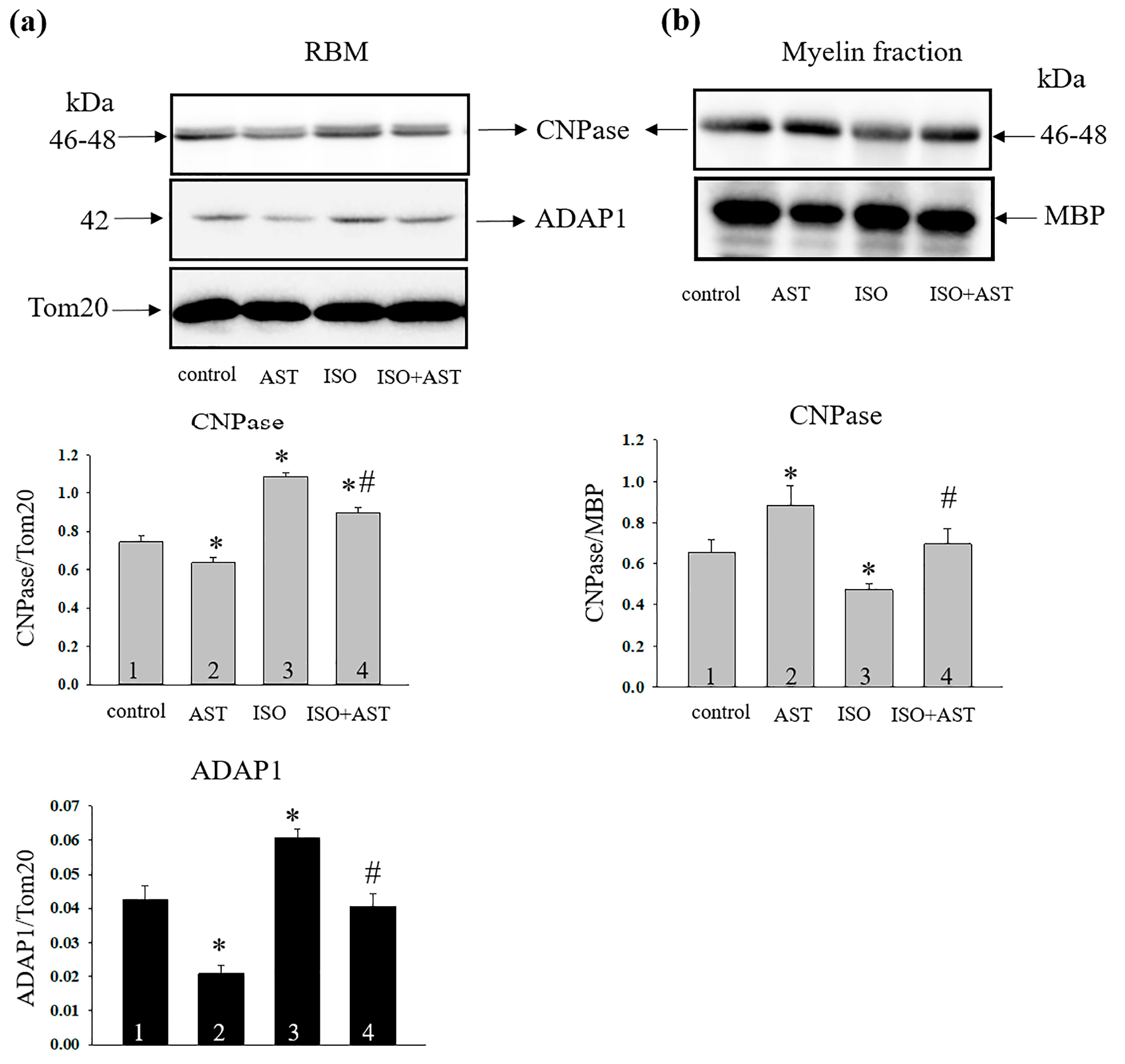 Ijms 24 00031 g005 Ijms 24 00031 g005