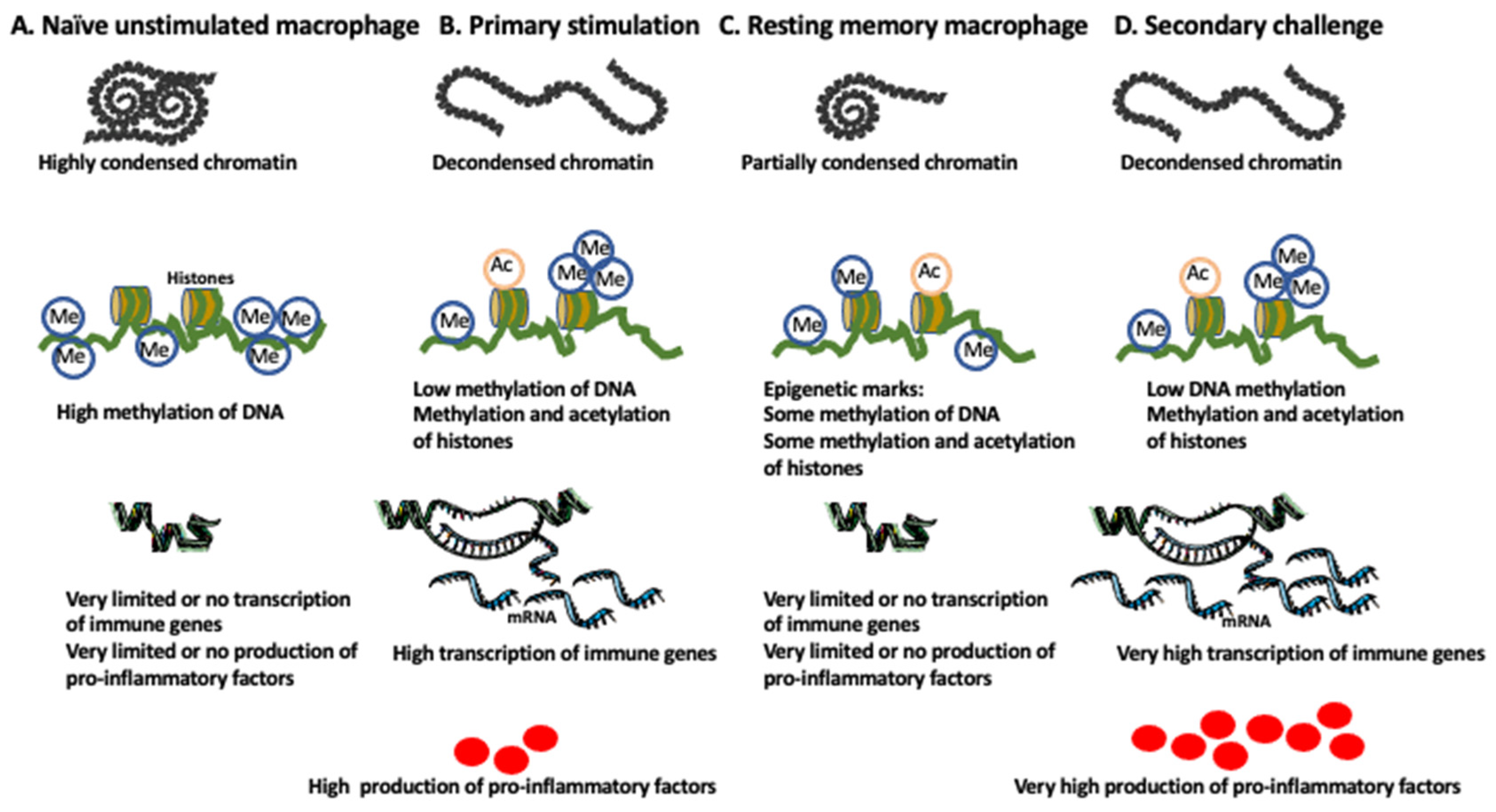 Ijms 24 00038 g002 Ijms 24 00038 g002