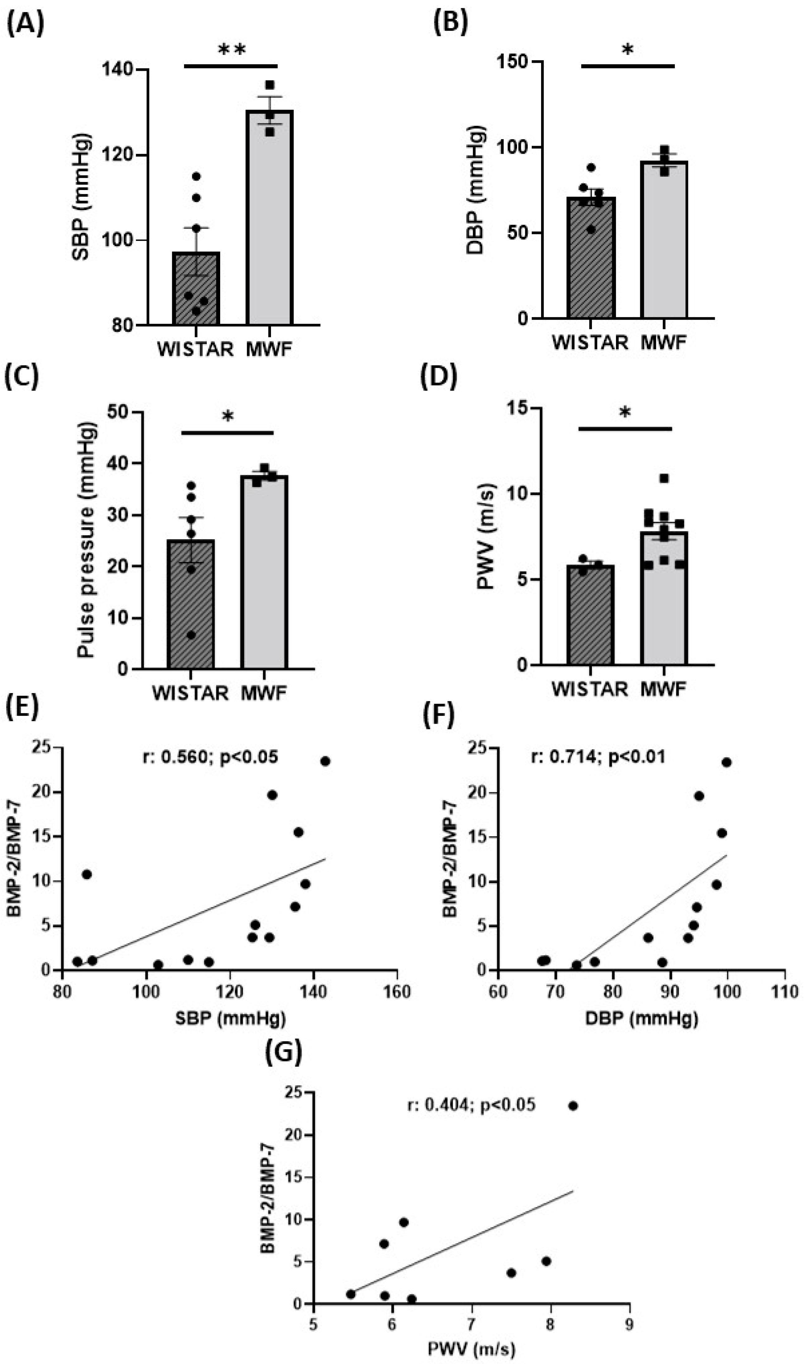 Ijms 24 00040 g004 Ijms 24 00040 g004