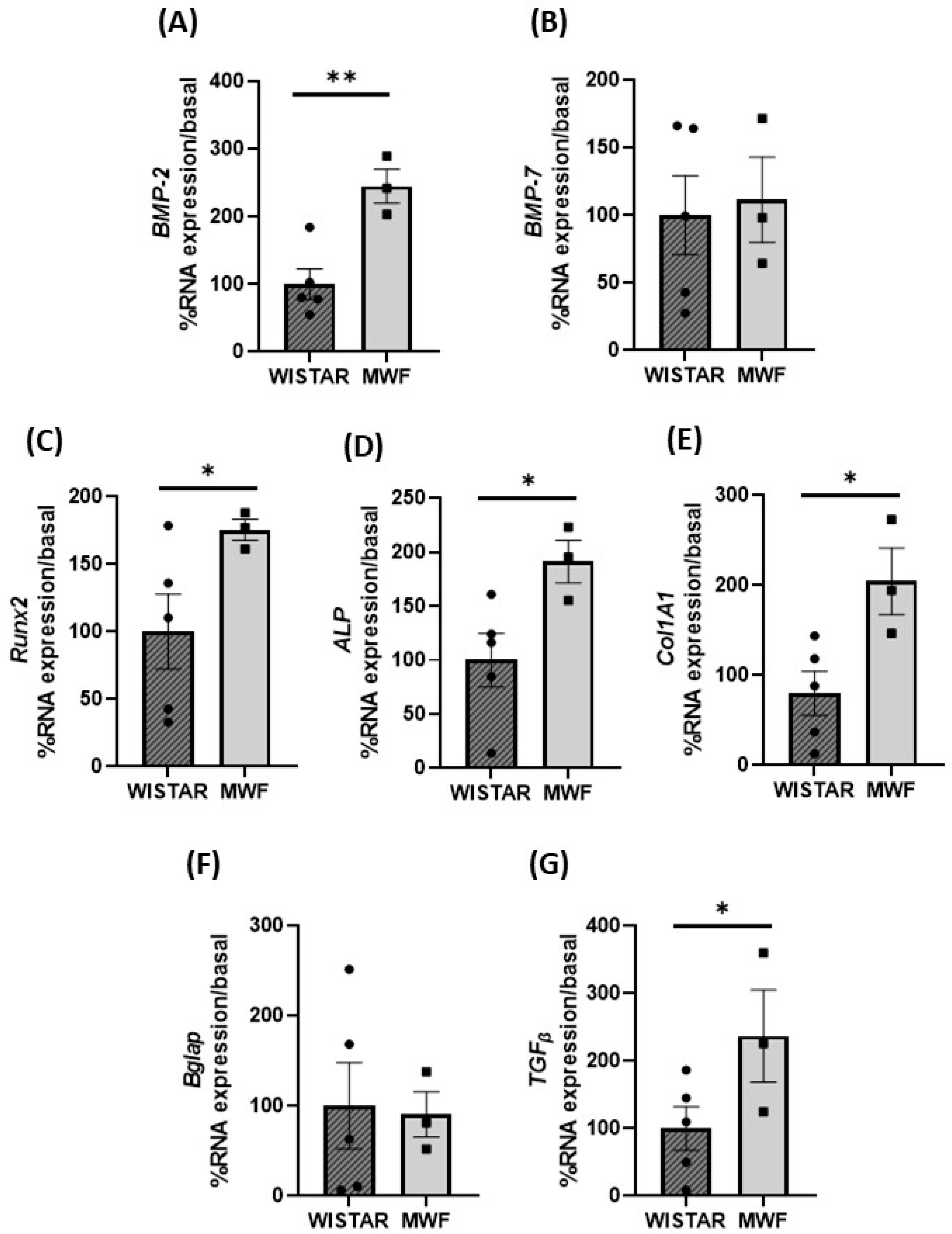 Ijms 24 00040 g005 Ijms 24 00040 g005
