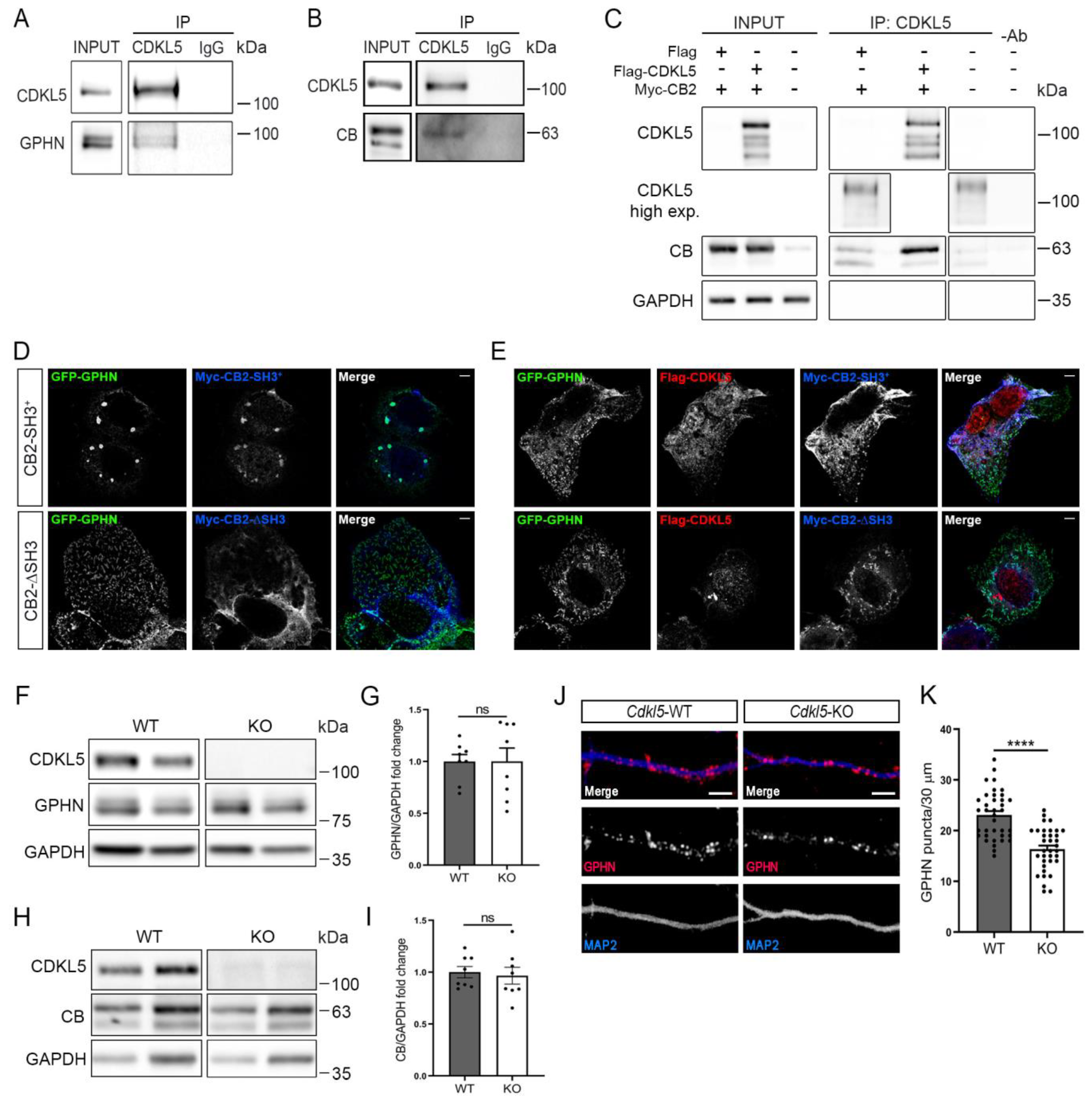 Ijms 24 00068 g001 Ijms 24 00068 g001